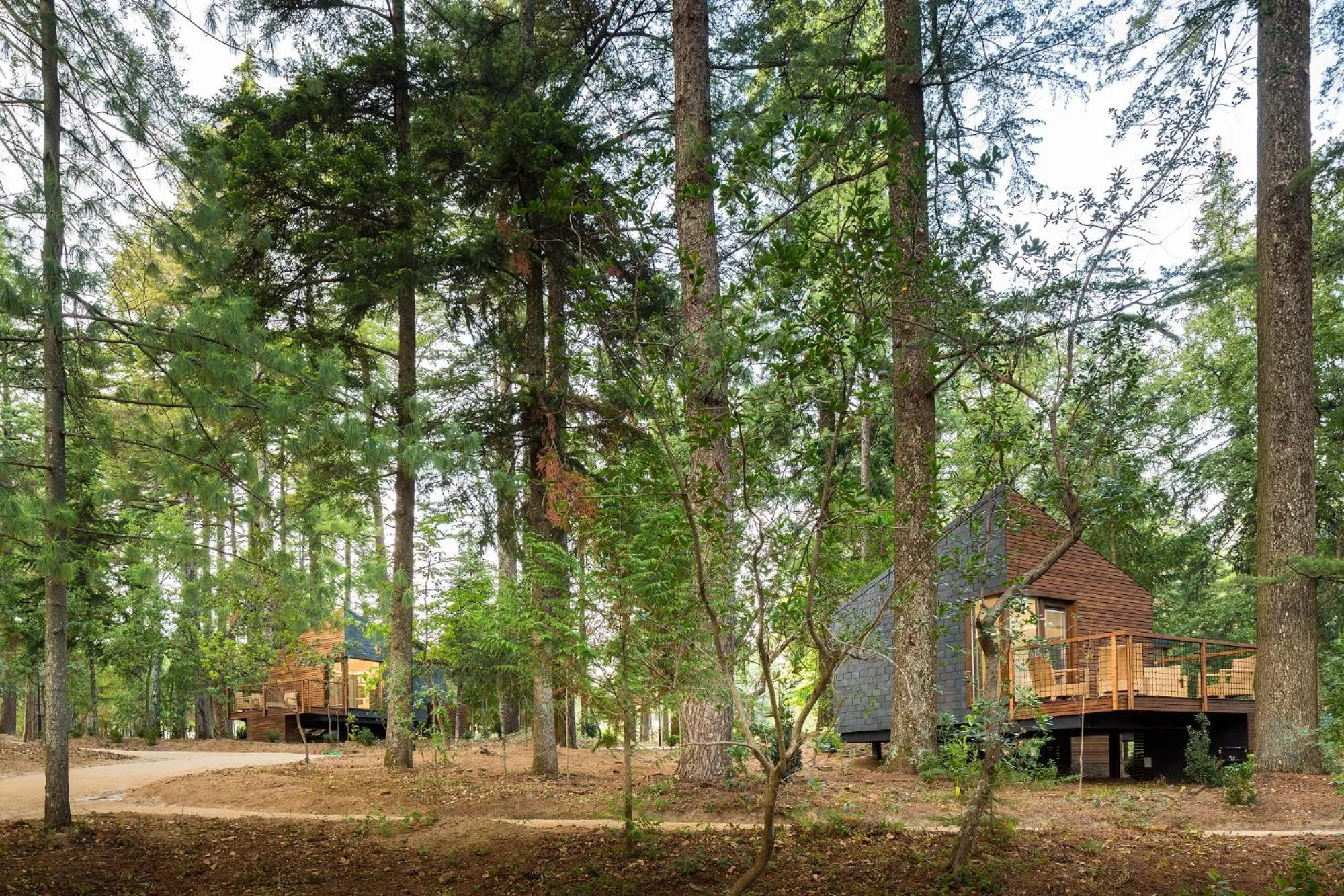 Area and facilities in Pedras Salgadas Spa & Nature Park