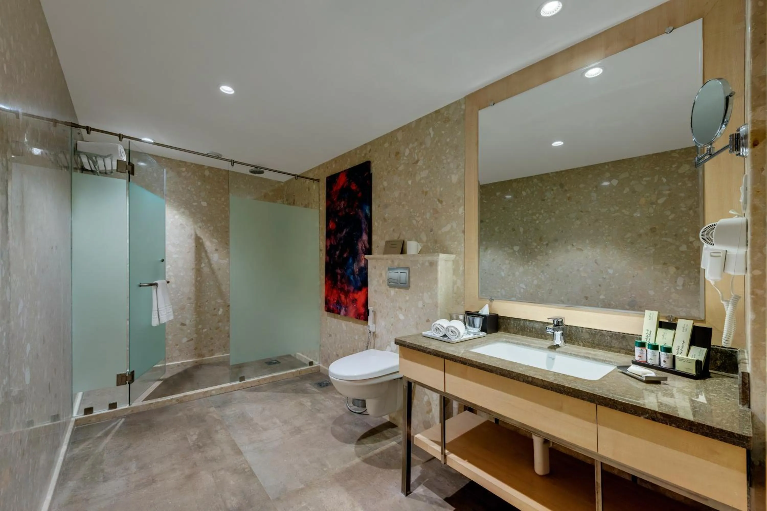 Bathroom in The Fern Residency Aurangabad - Chhatrapati Sambhaji Nagar