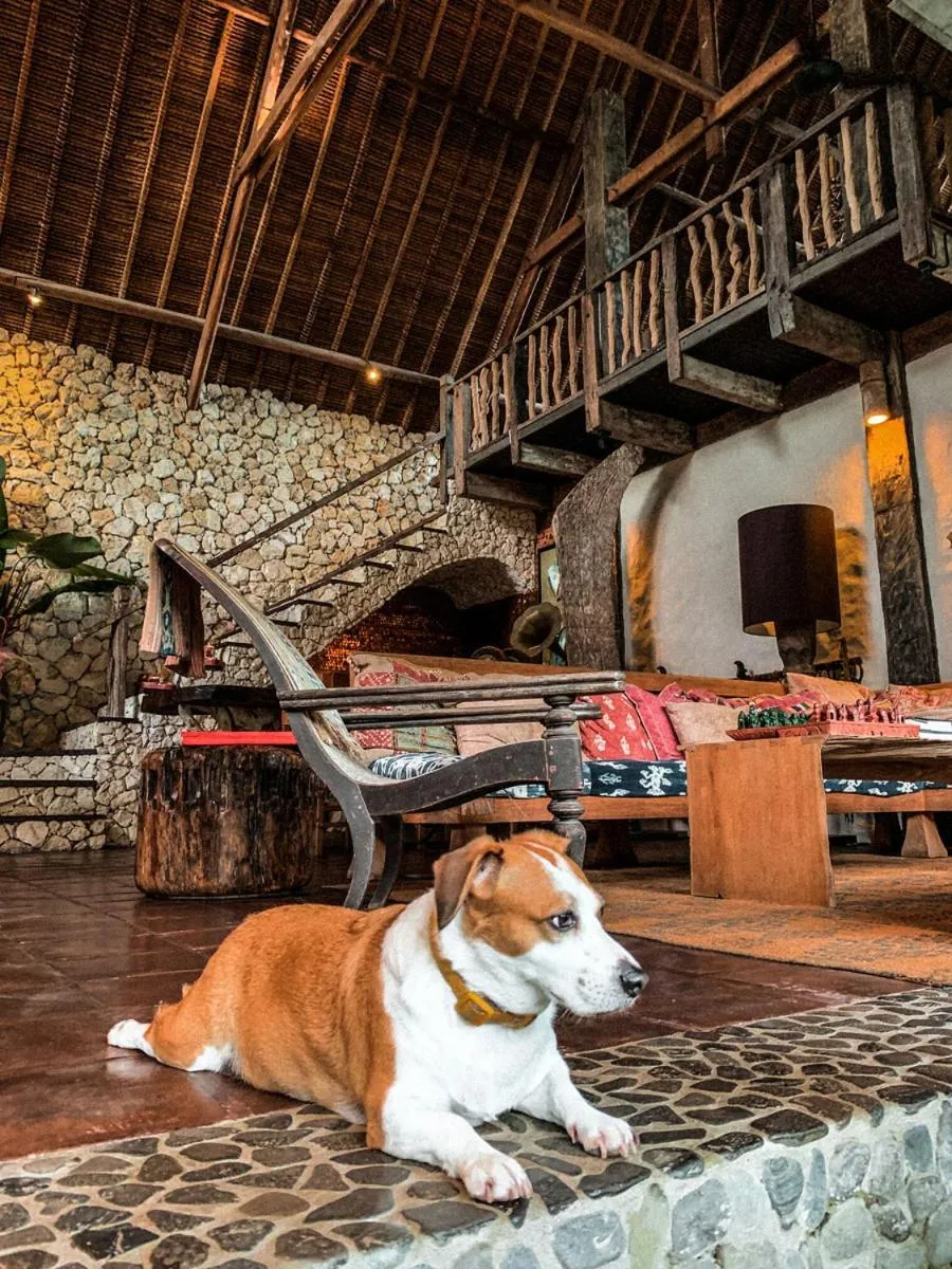 Restaurant/places to eat in Stone House