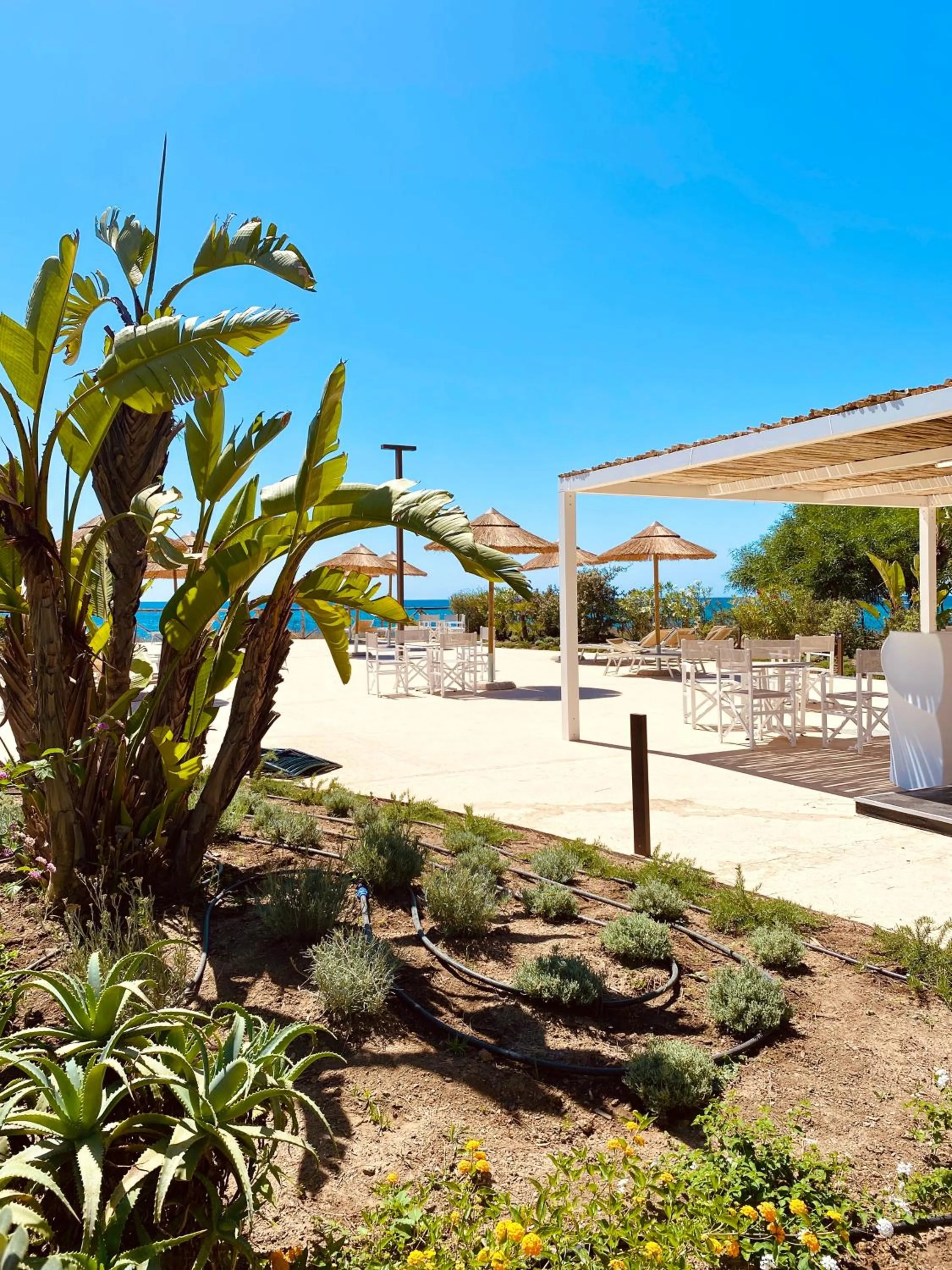 Solarium in Hotel Mare Pineta
