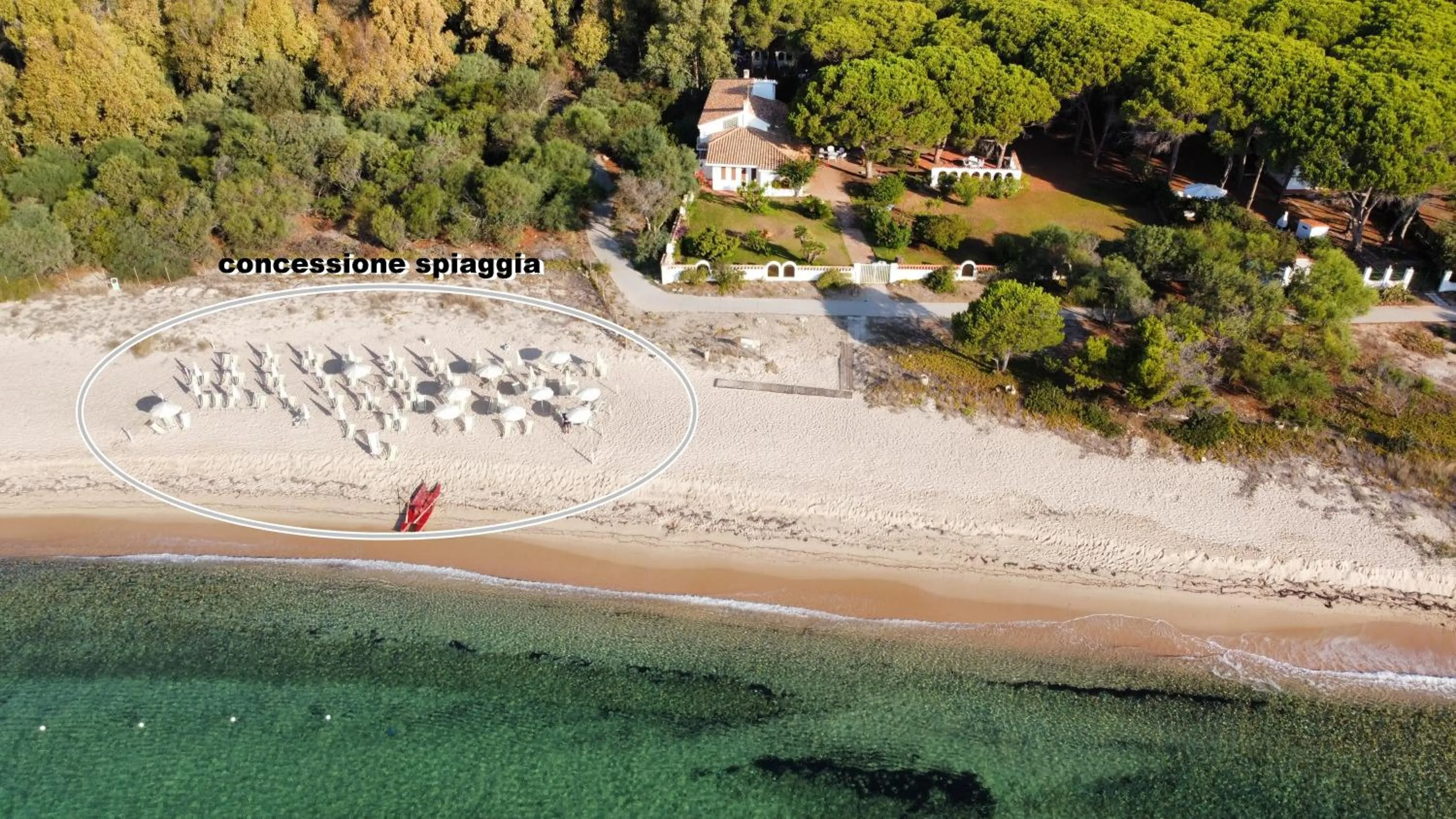Beach in Hotel Mare Pineta