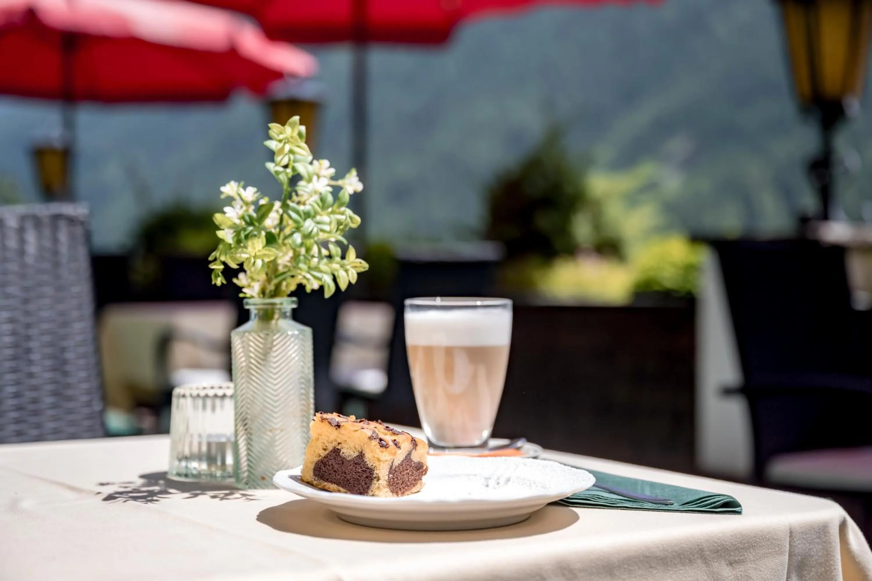 Balcony/Terrace in Hotel Almhof