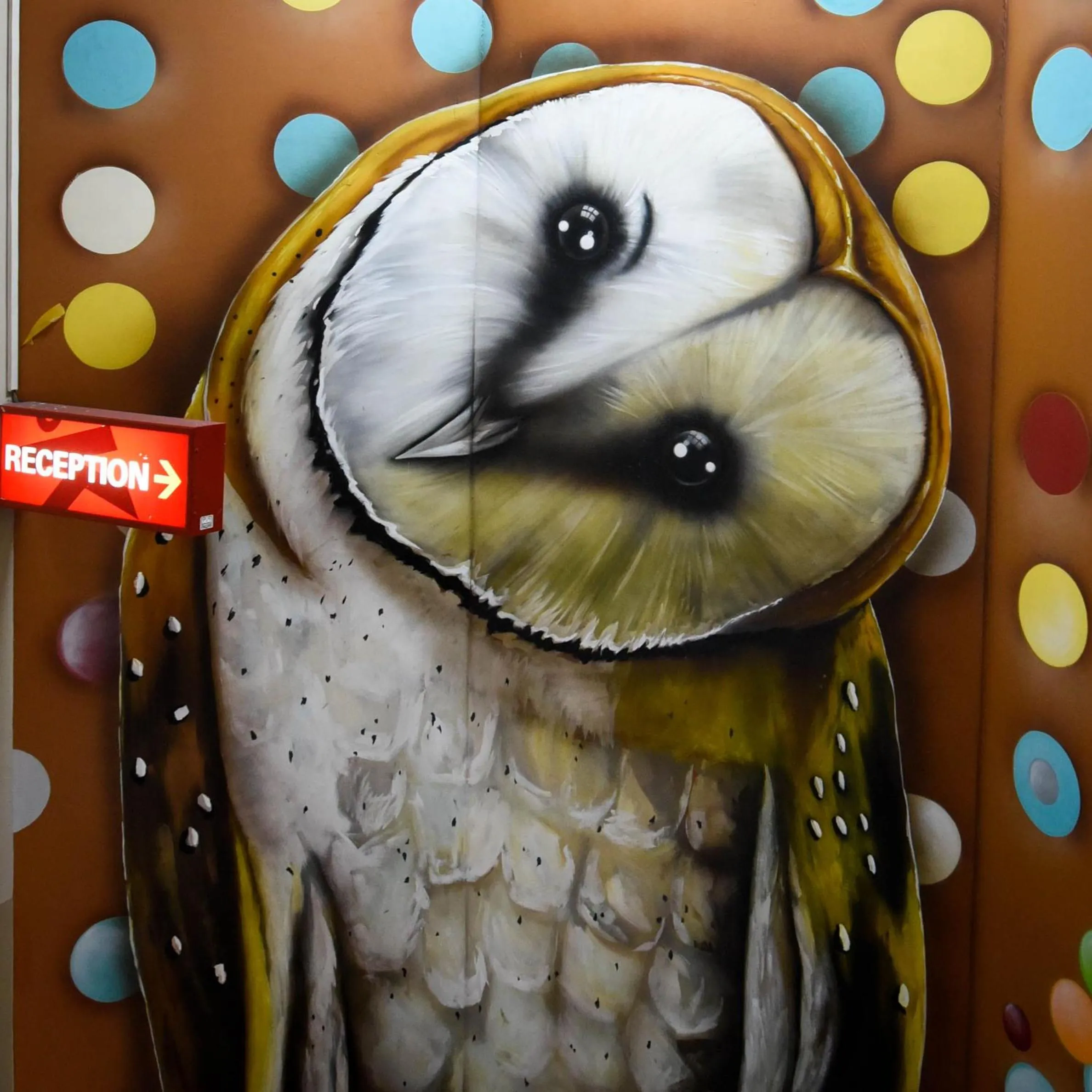 Decorative detail in Kinlay Hostel Eyre Square - Best Hostel in Ireland 2025