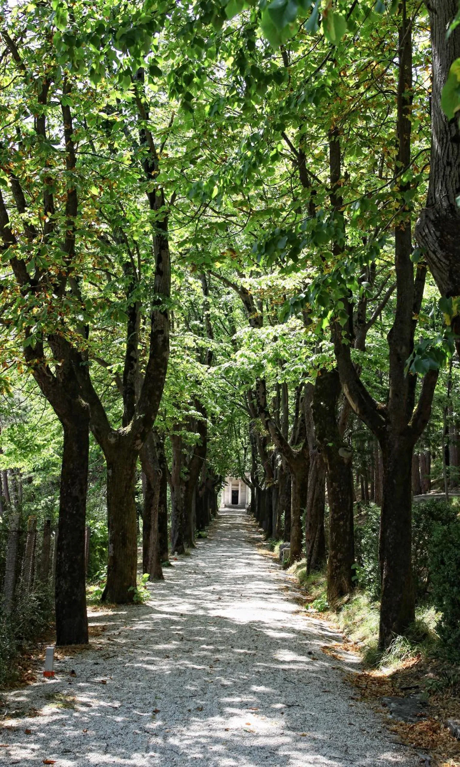 Facade/entrance in Hotel Pineta