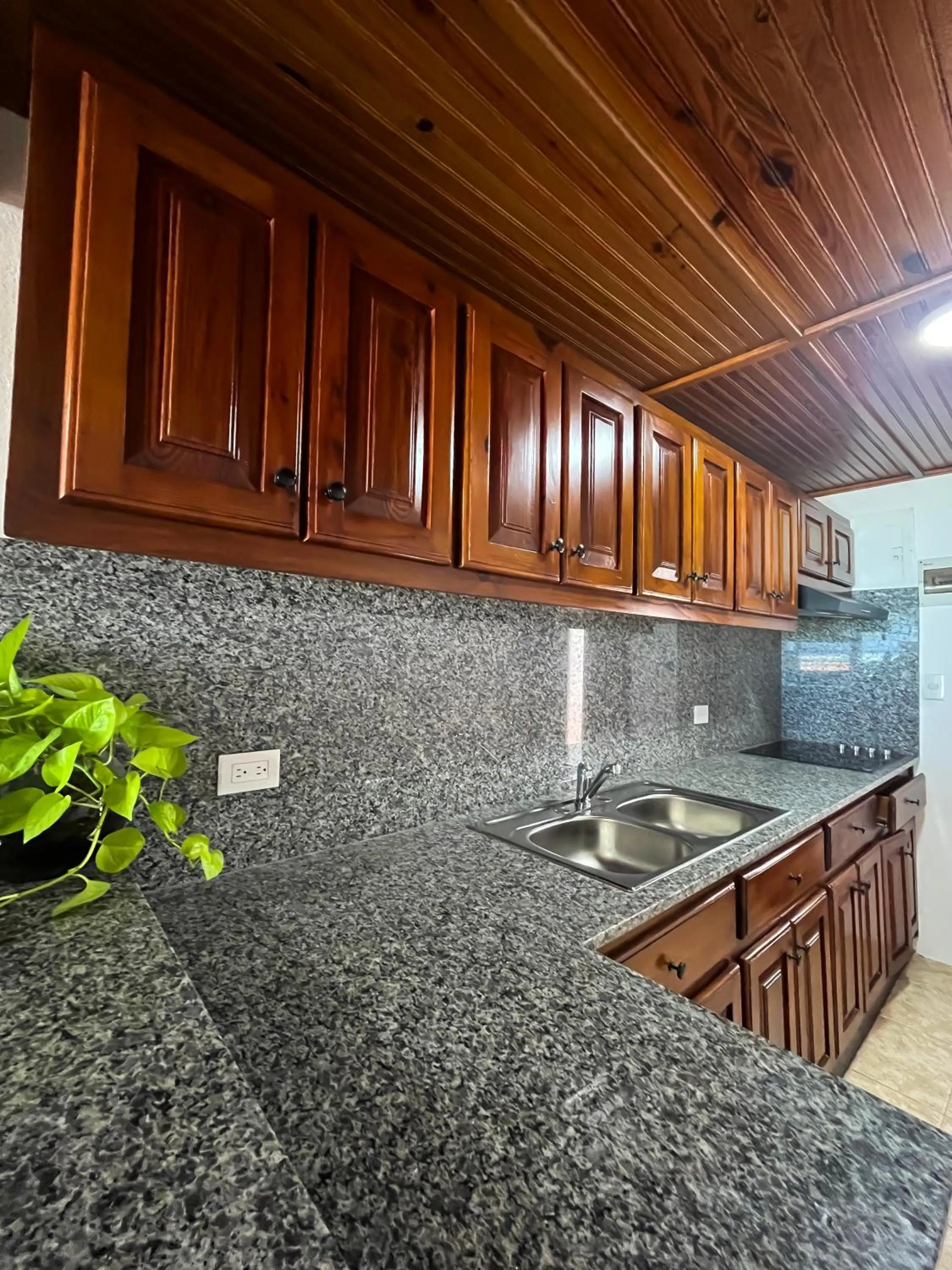 Kitchen or kitchenette in Hotel Checkin El Cortecito Beach