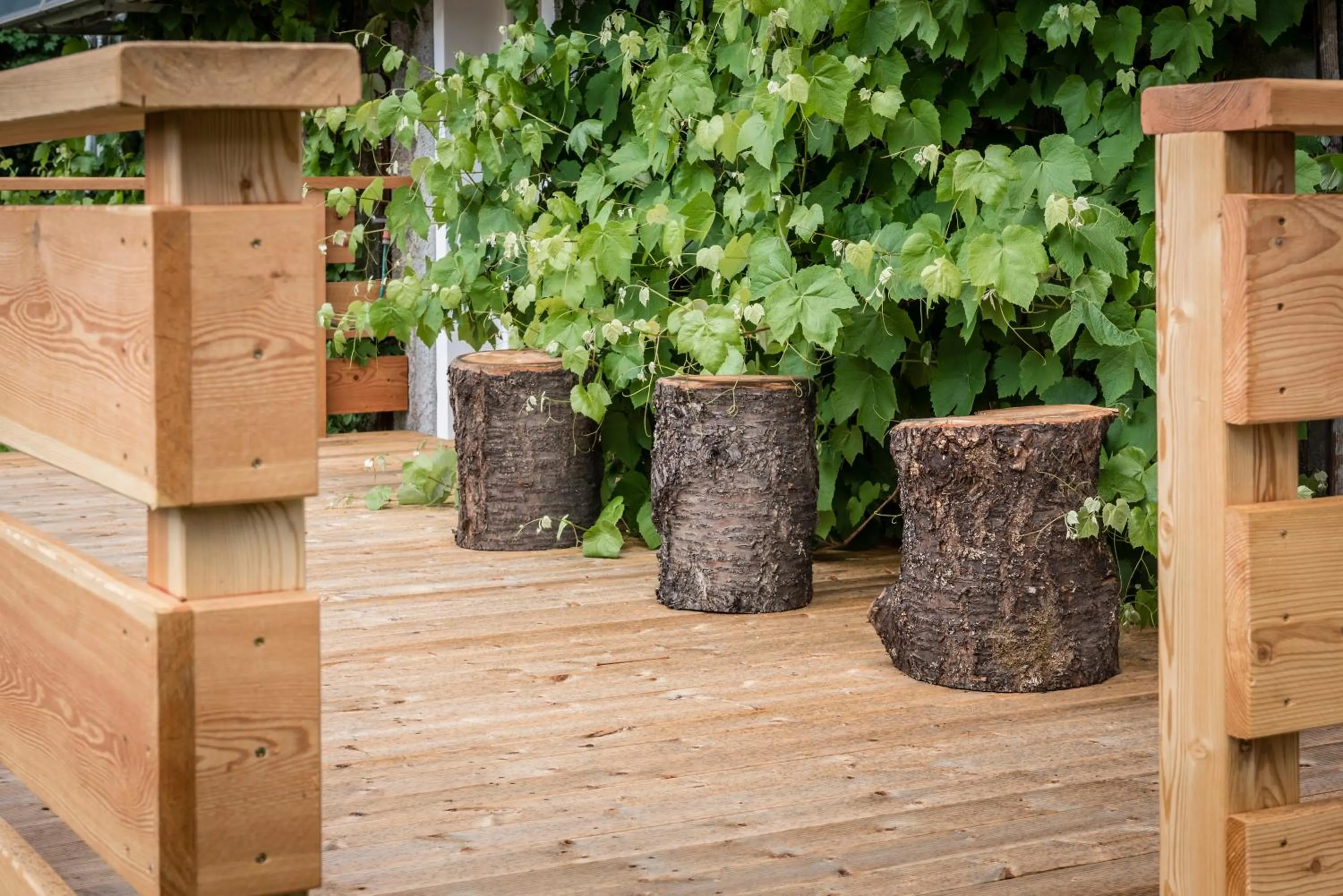 Spa and wellness centre/facilities in Naturhotel Waldheim