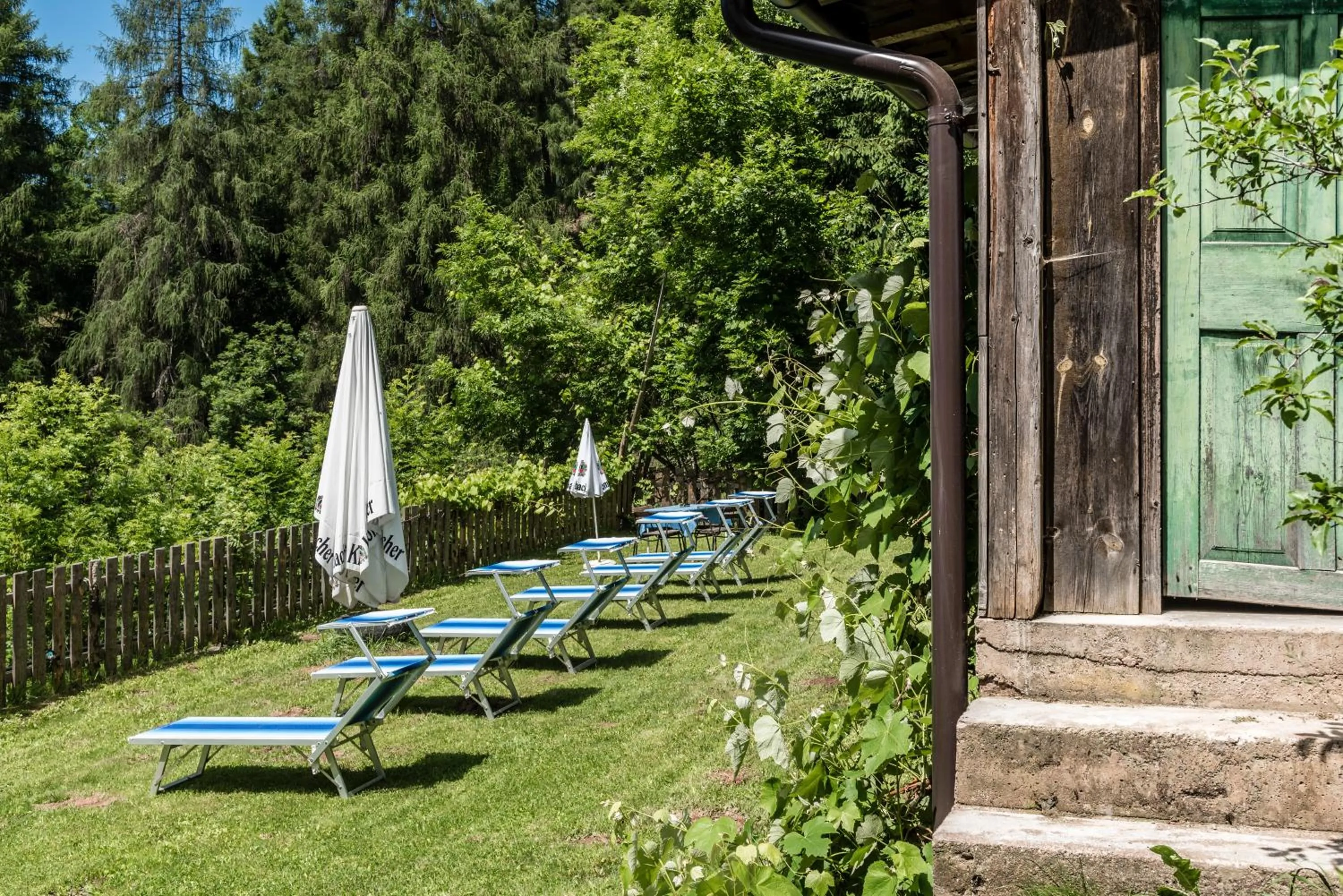 View (from property/room) in Naturhotel Waldheim