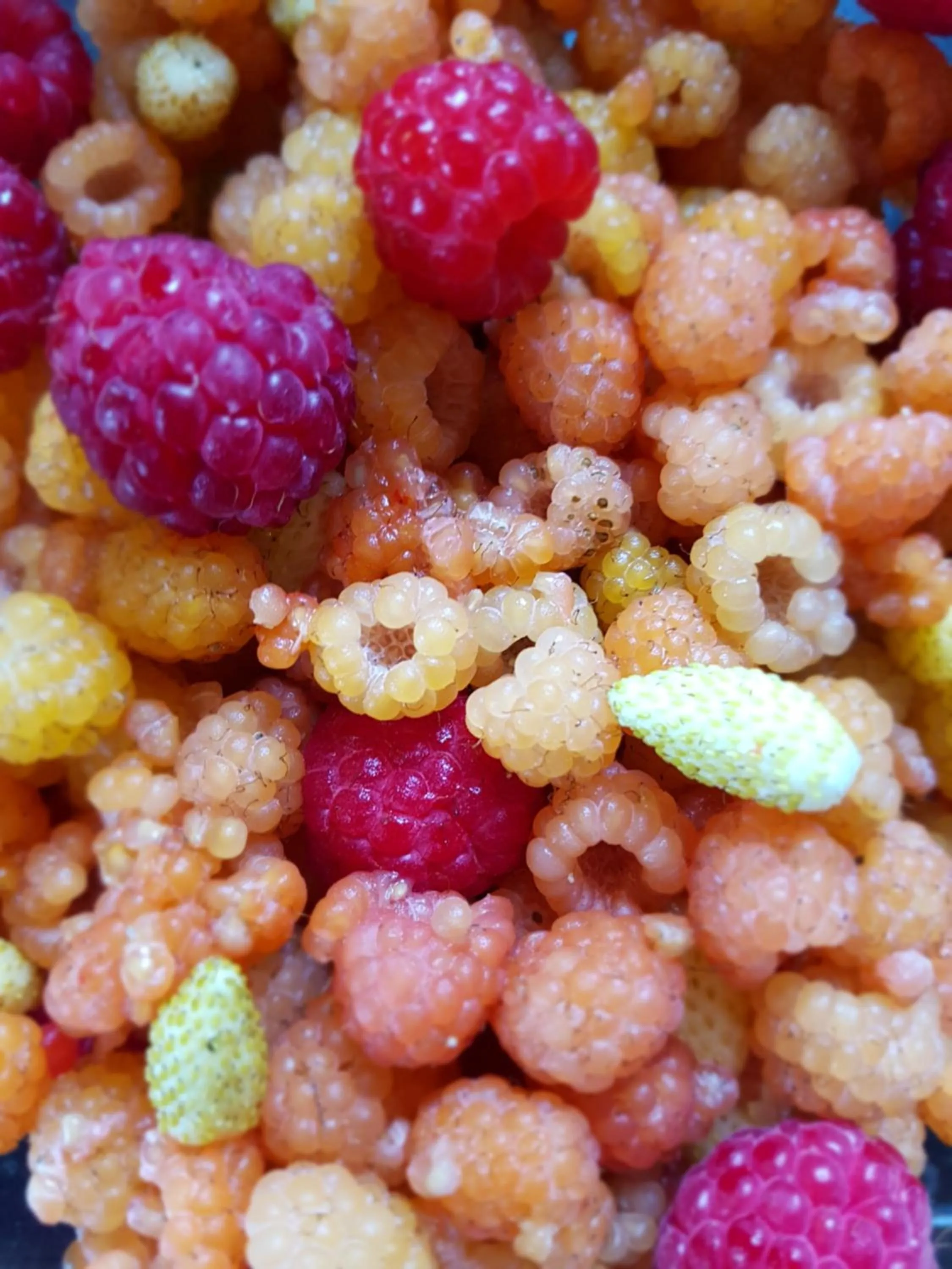 Food and drinks in B&B Park7 Wavre - Leuven