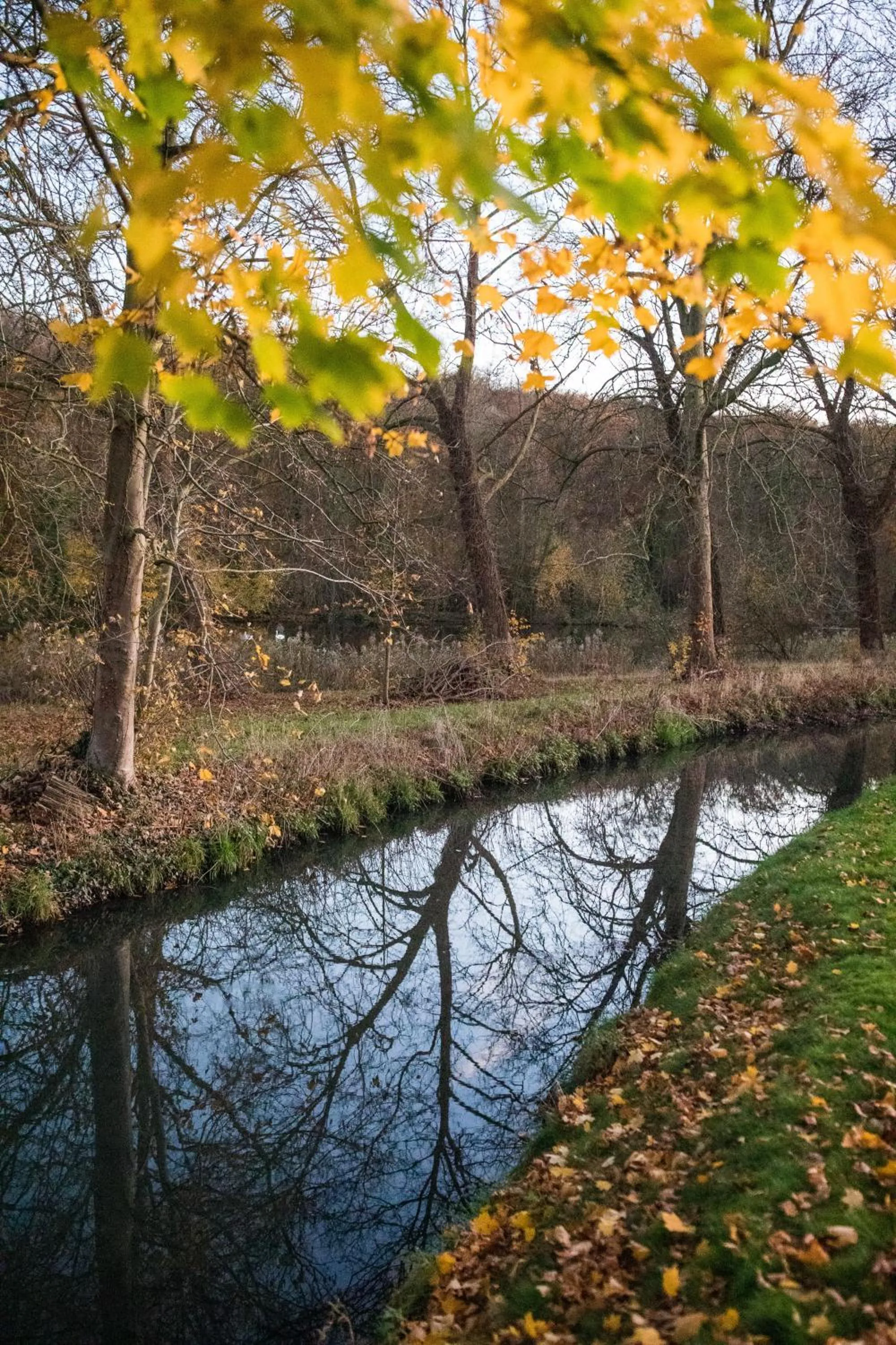 River view in B&B Park7 Wavre - Leuven
