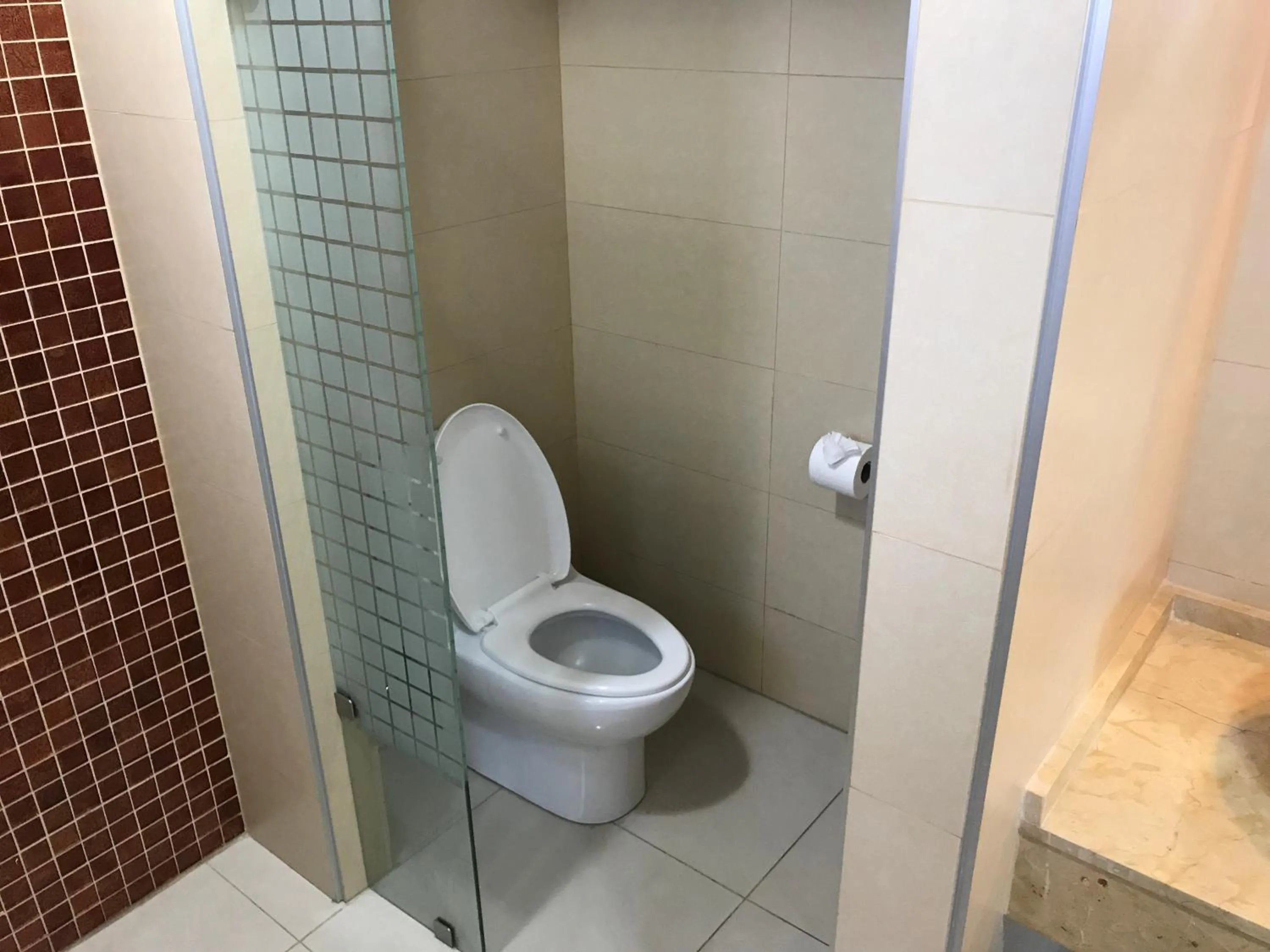 Shower in Hostalia Hotel Expo & Business Class