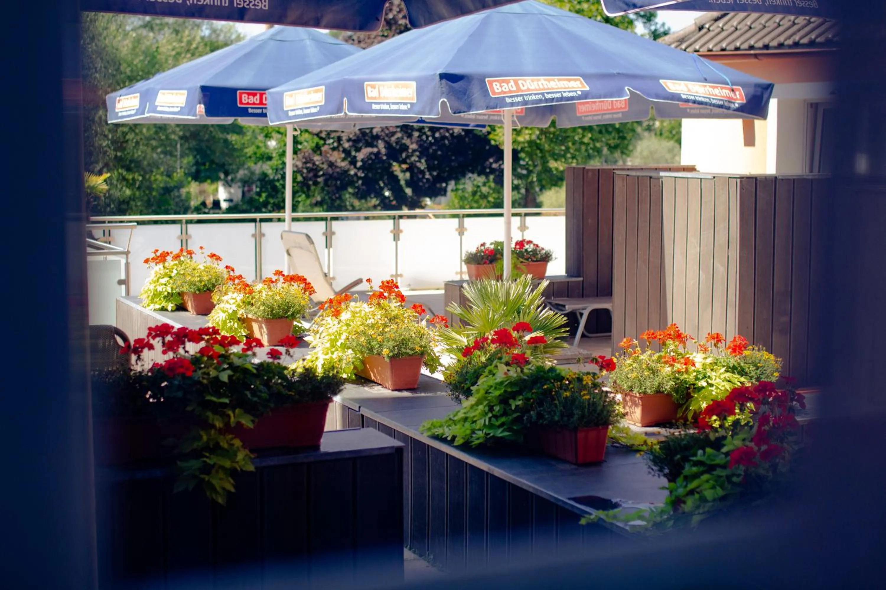 Balcony/Terrace in Bodensee-Hotel Kreuz