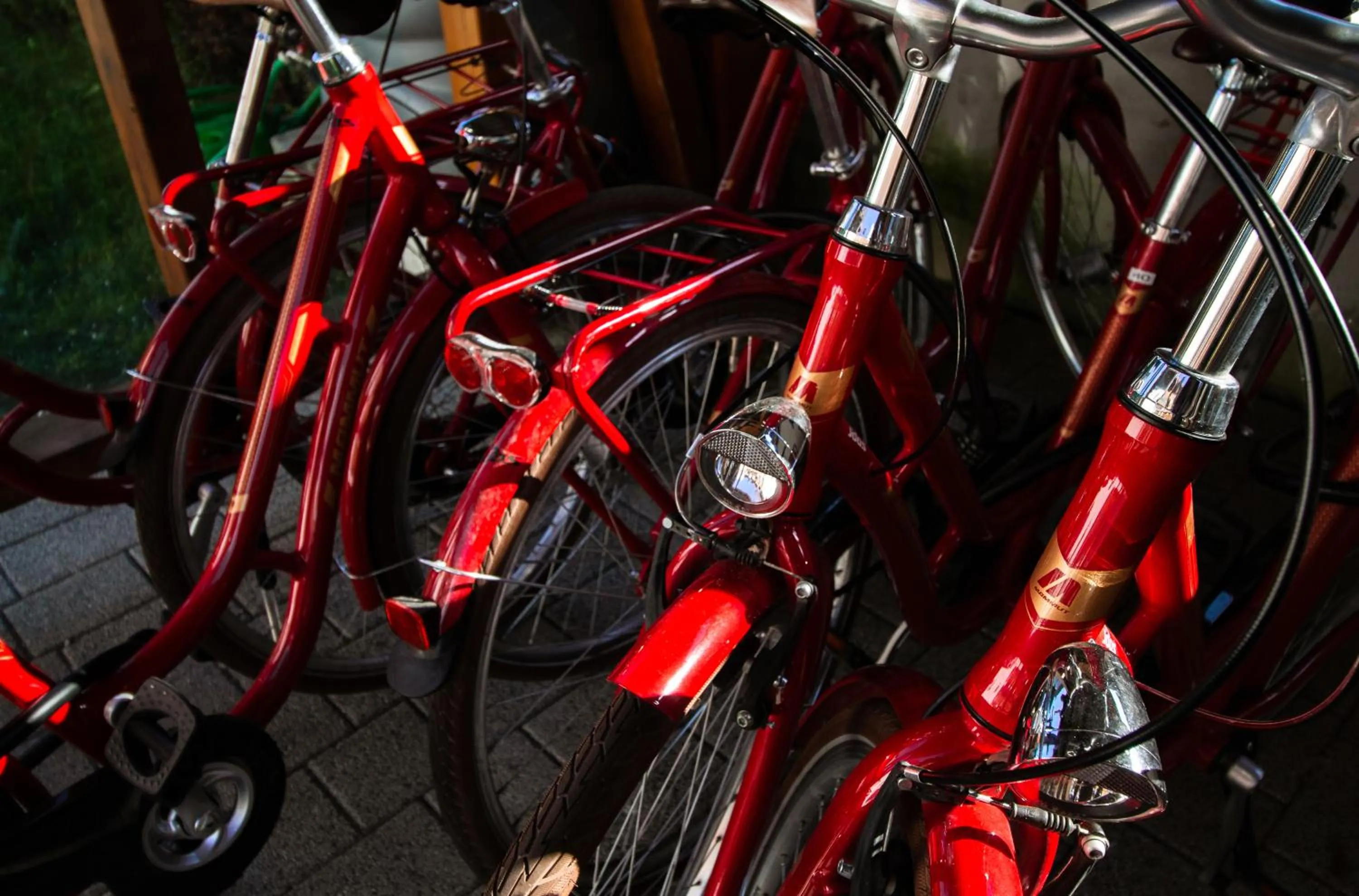 Cycling in Bodensee-Hotel Kreuz