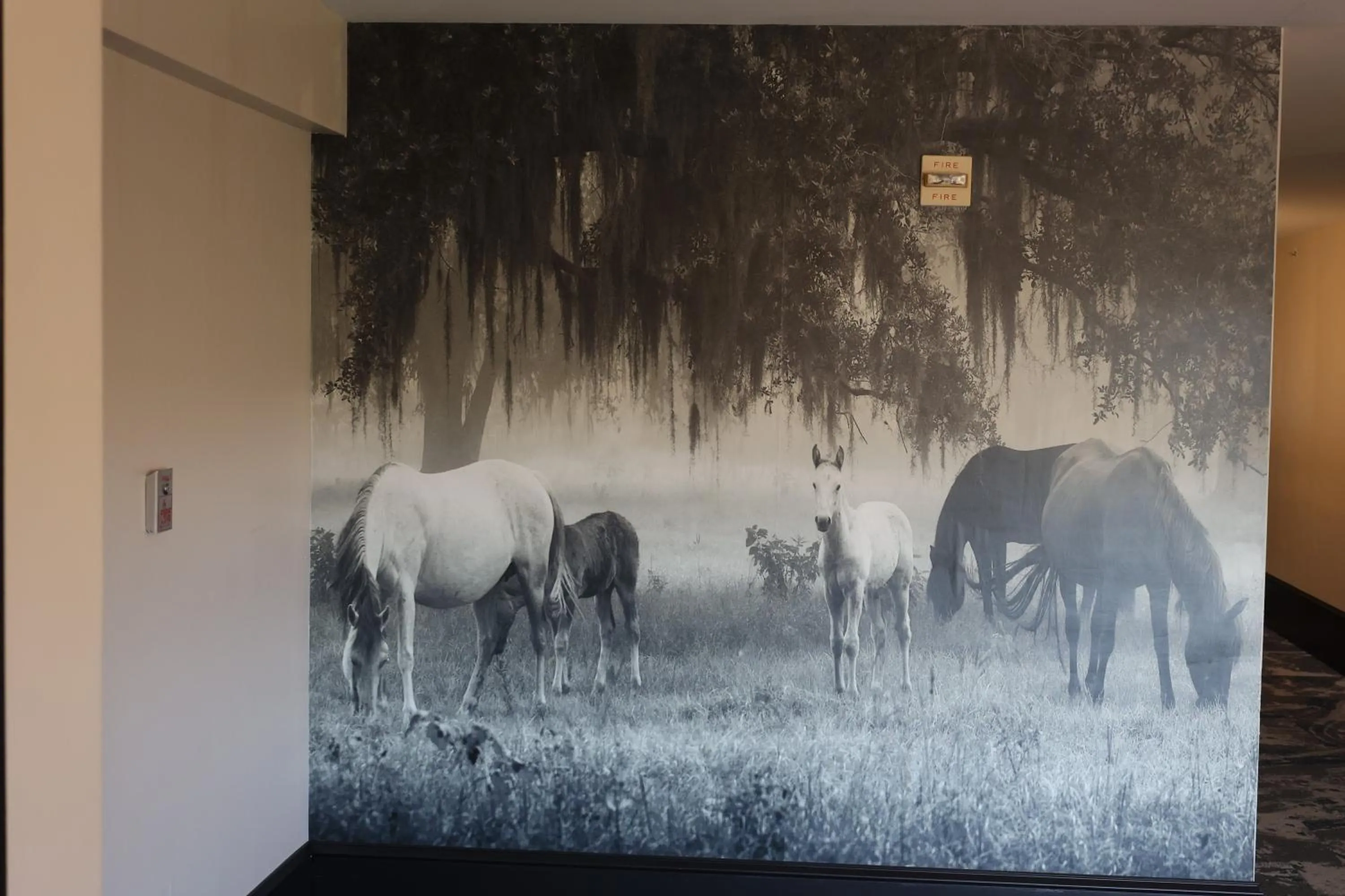 La Quinta Inn and Suites by Wyndham, Ocala