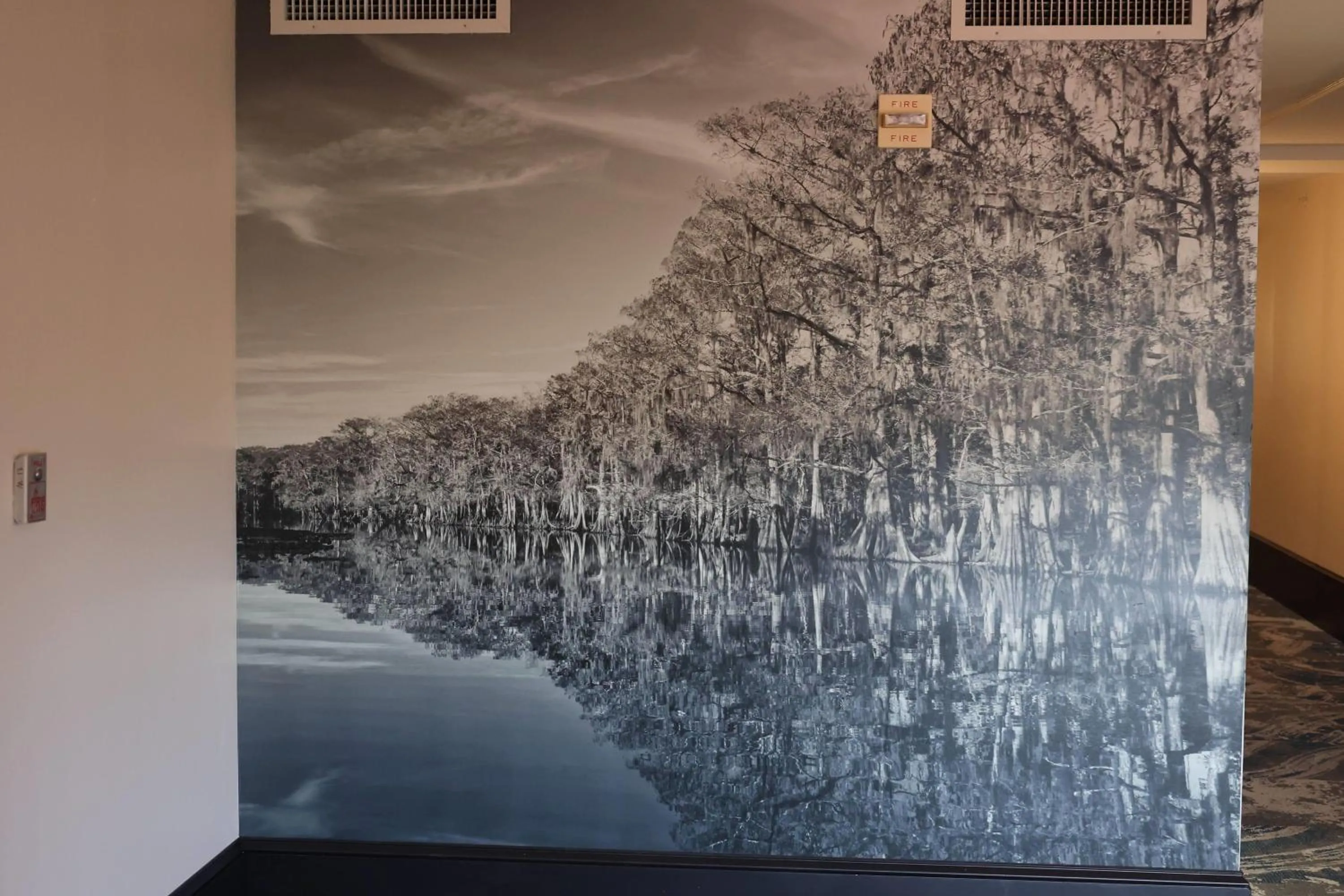 Other in La Quinta Inn and Suites by Wyndham, Ocala