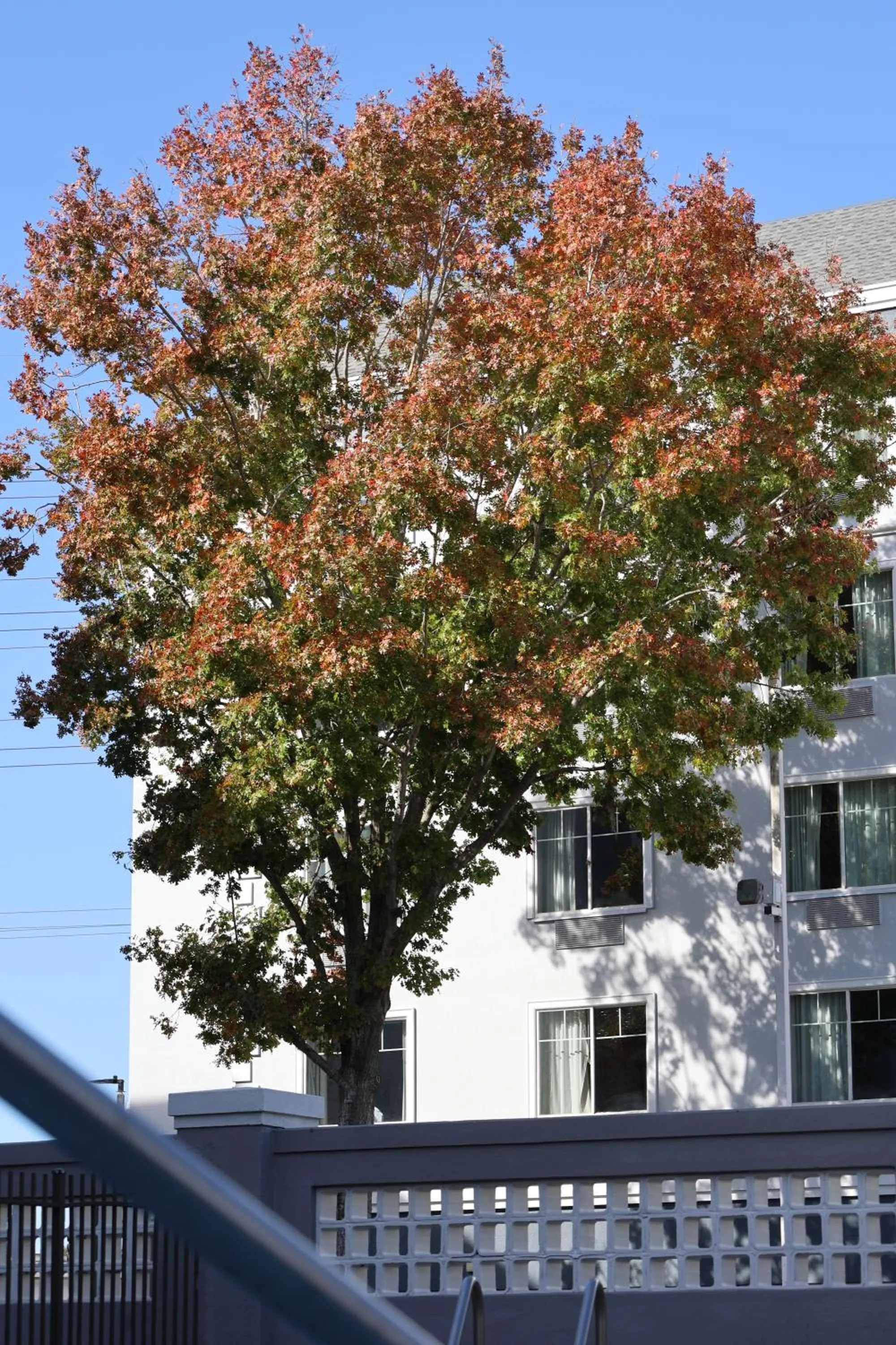 La Quinta Inn and Suites by Wyndham, Ocala