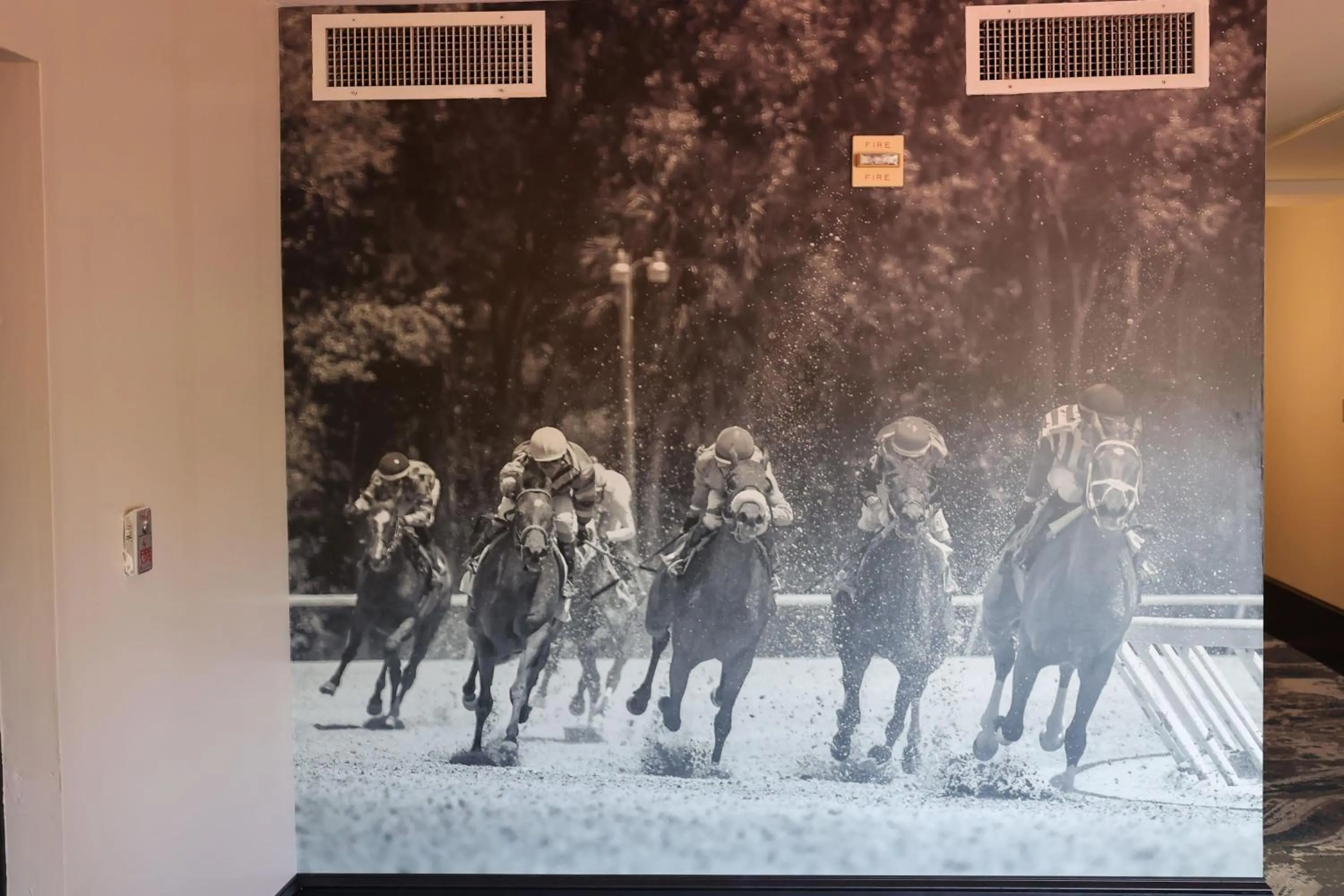 Other in La Quinta Inn and Suites by Wyndham, Ocala