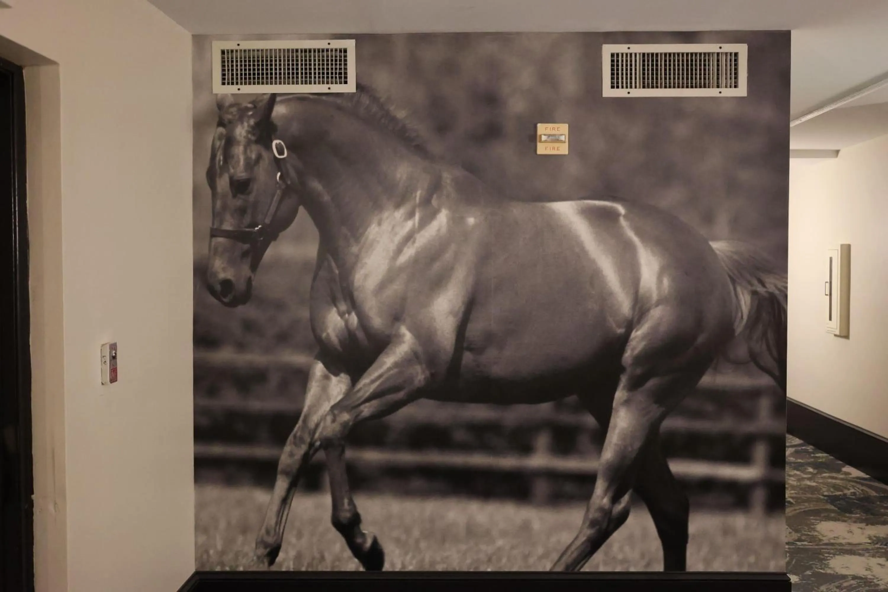 Other in La Quinta Inn and Suites by Wyndham, Ocala