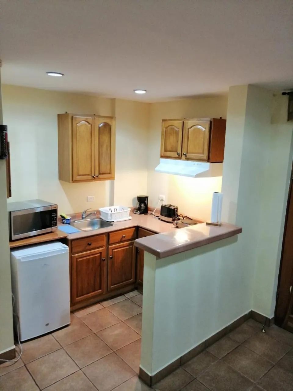 Kitchen or kitchenette in Apartotel Don Francisco