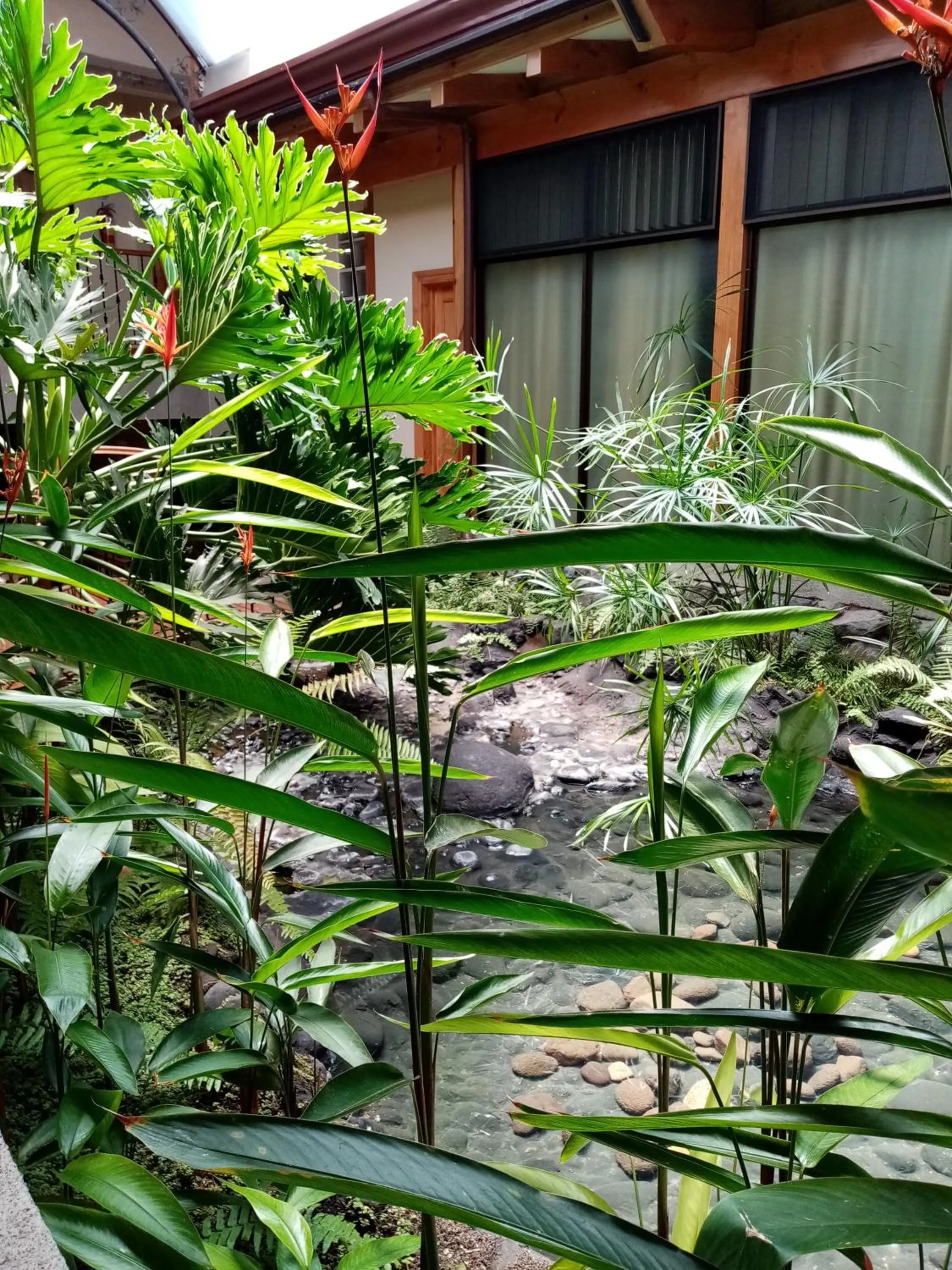 Patio in Apartotel Don Francisco