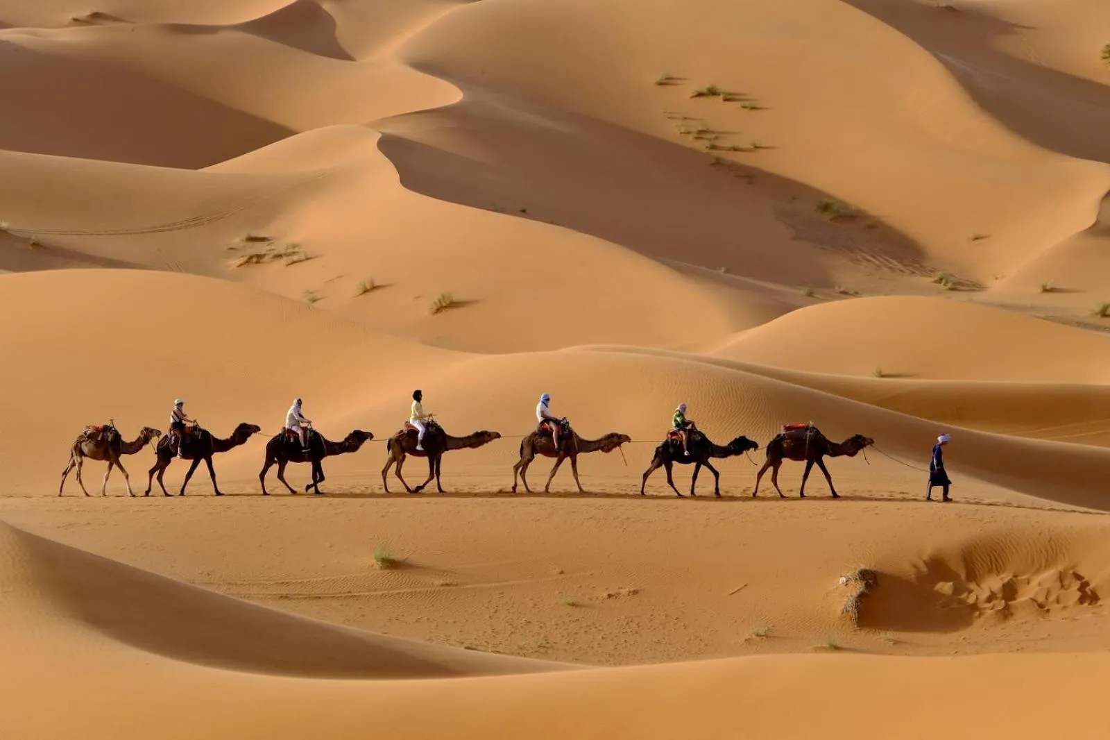 Mustapha Camp Merzouga