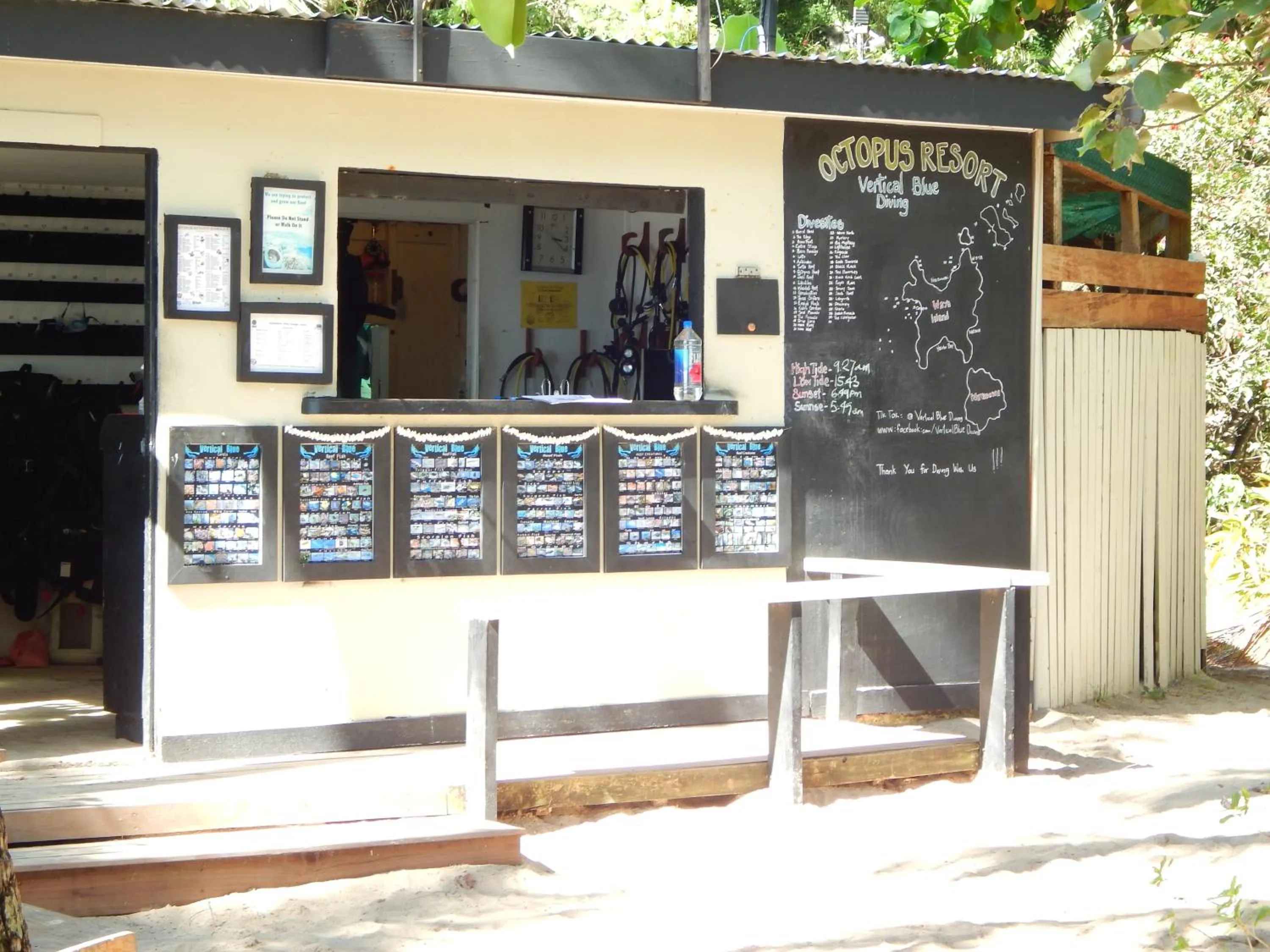 Diving in Octopus Resort