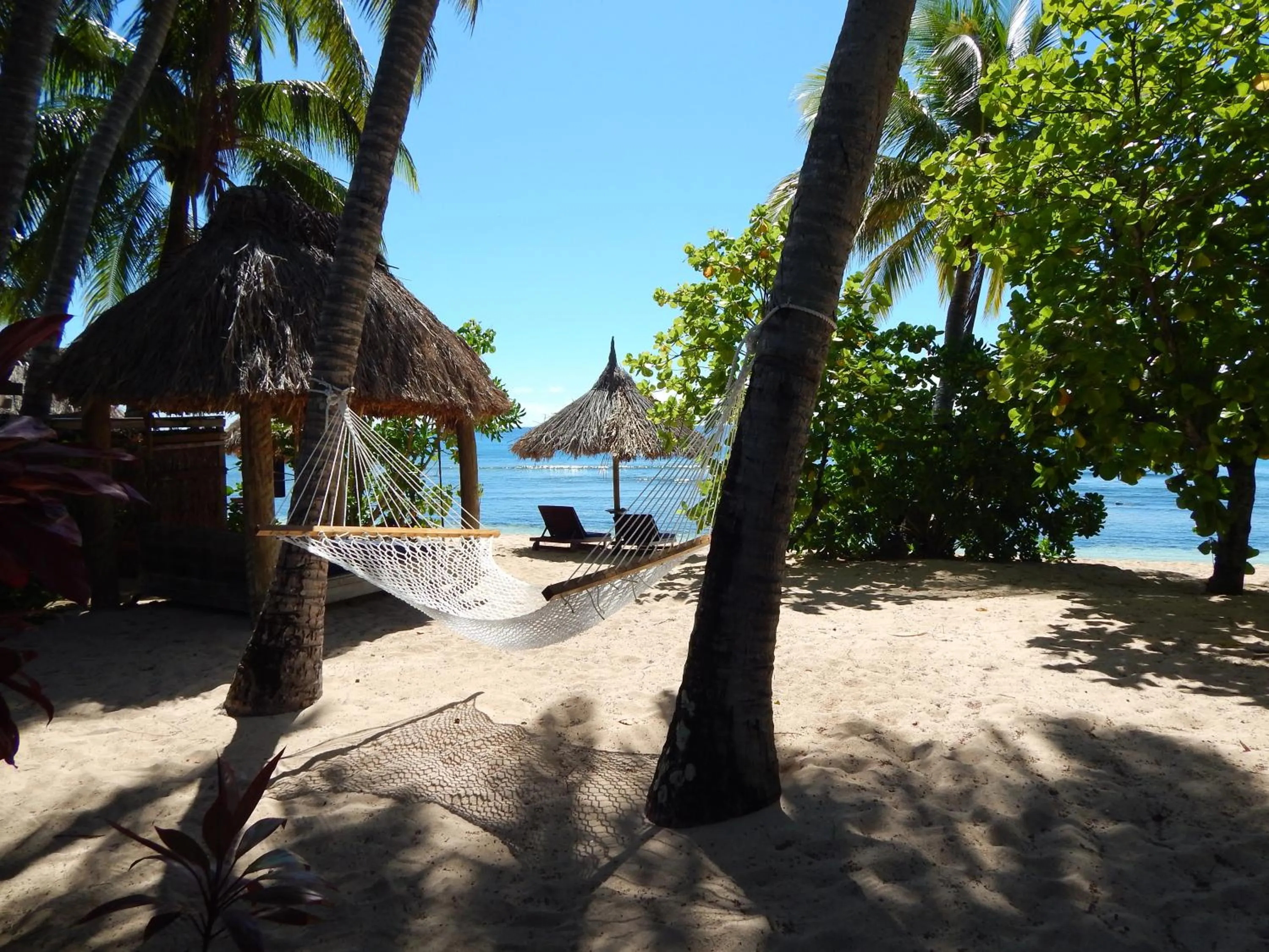 View (from property/room) in Octopus Resort