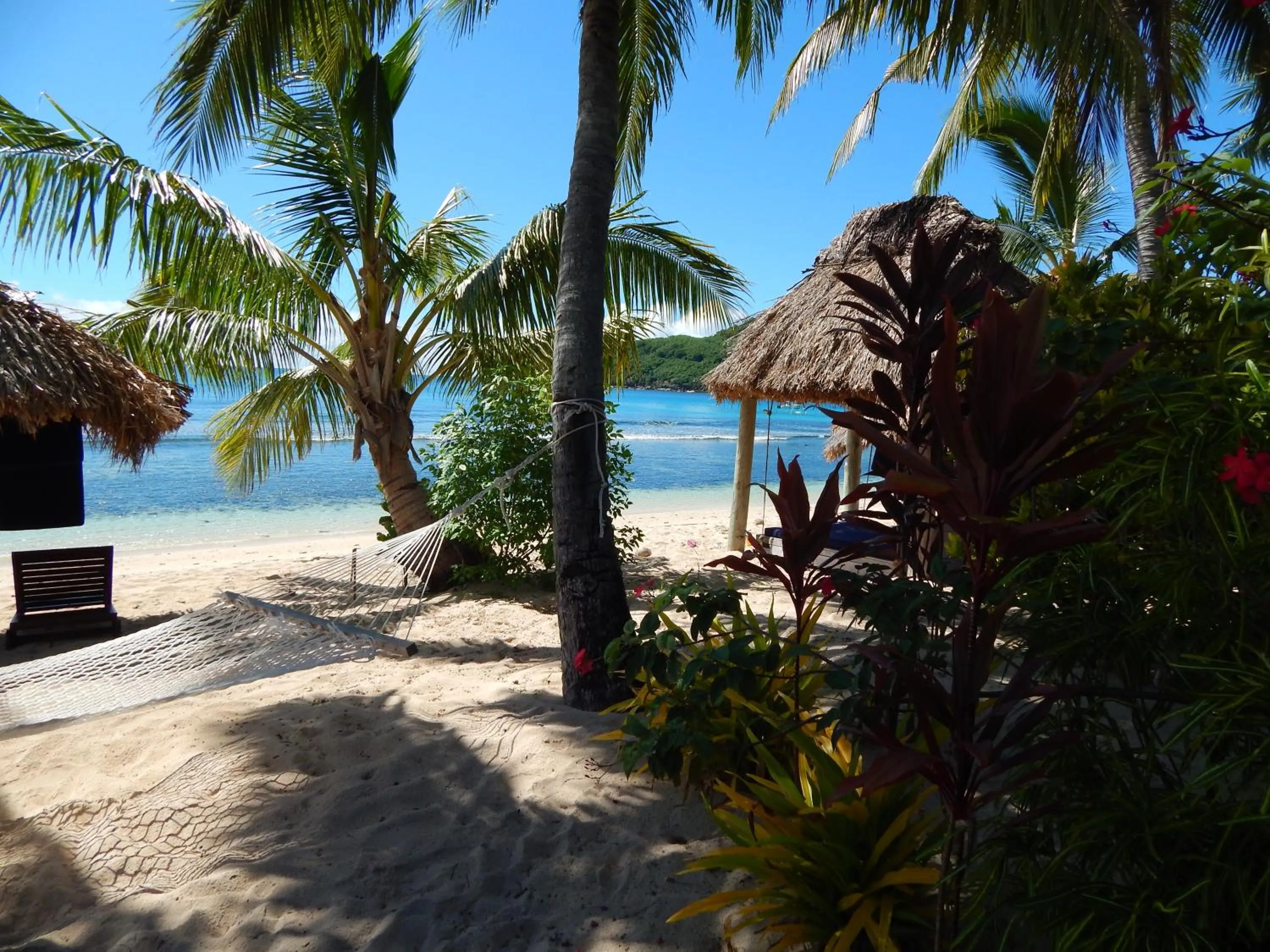 View (from property/room) in Octopus Resort