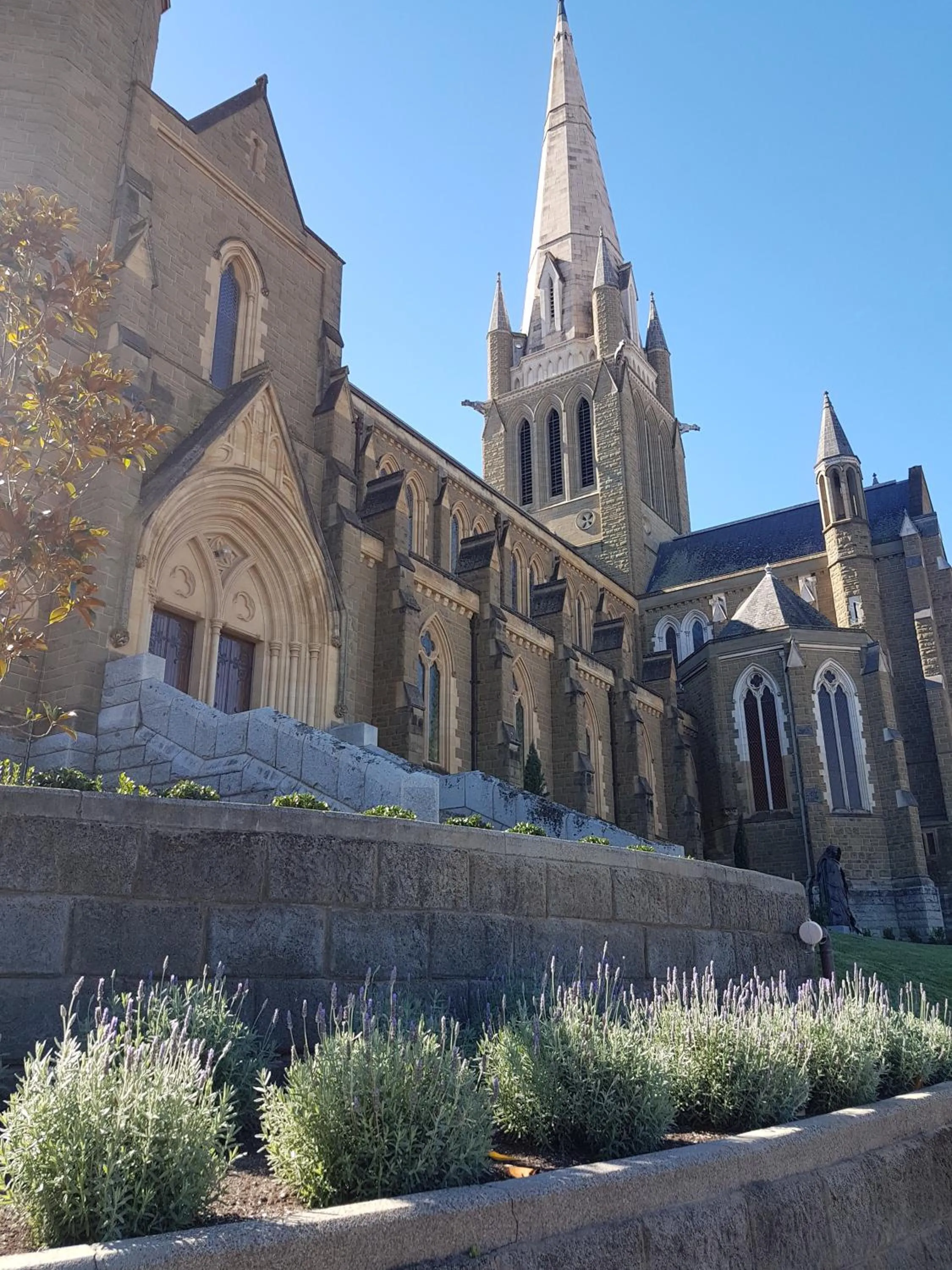 Nearby landmark in Bendigo Backpackers