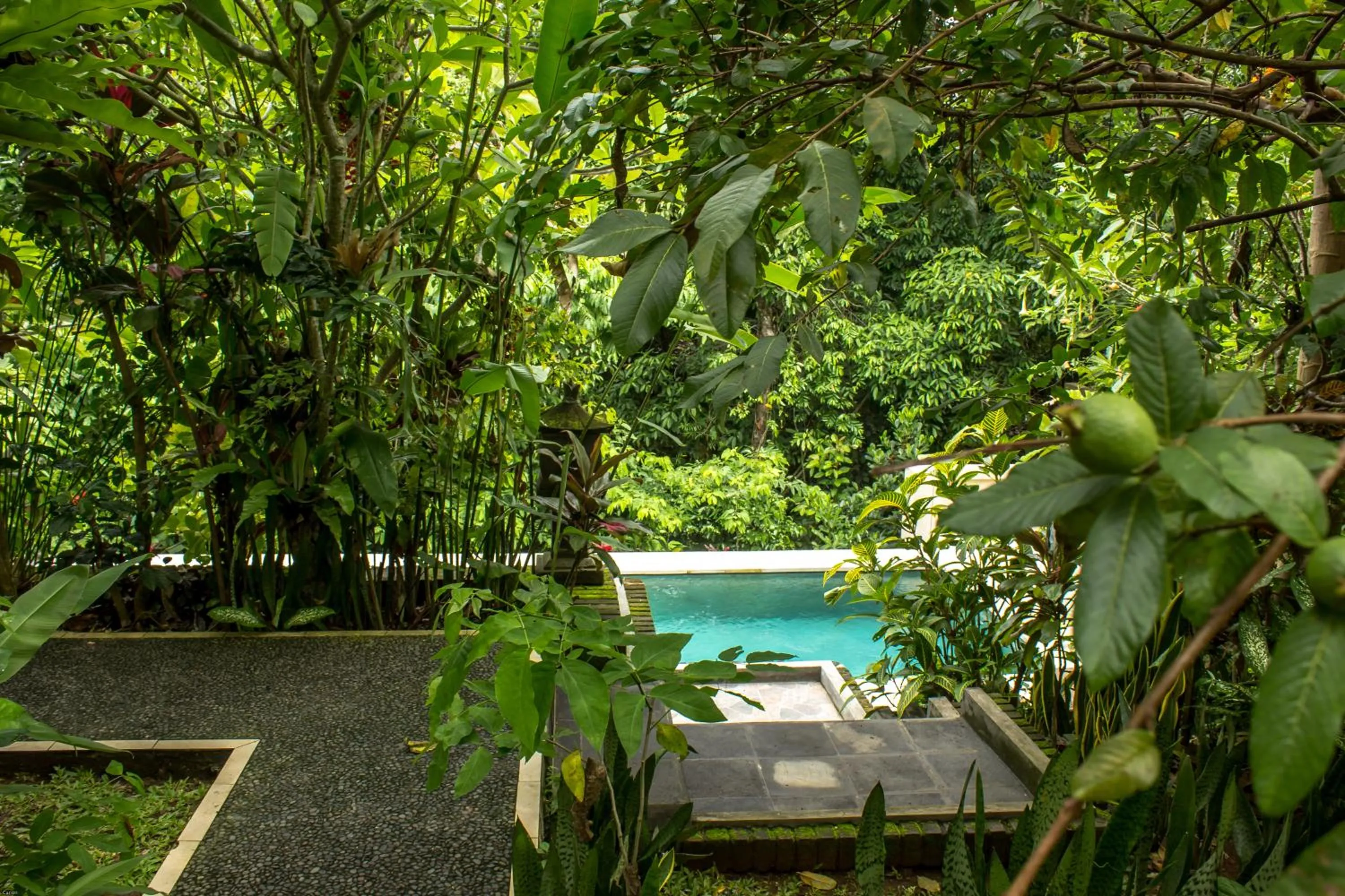 Swimming pool in Bismajaya Bungalow
