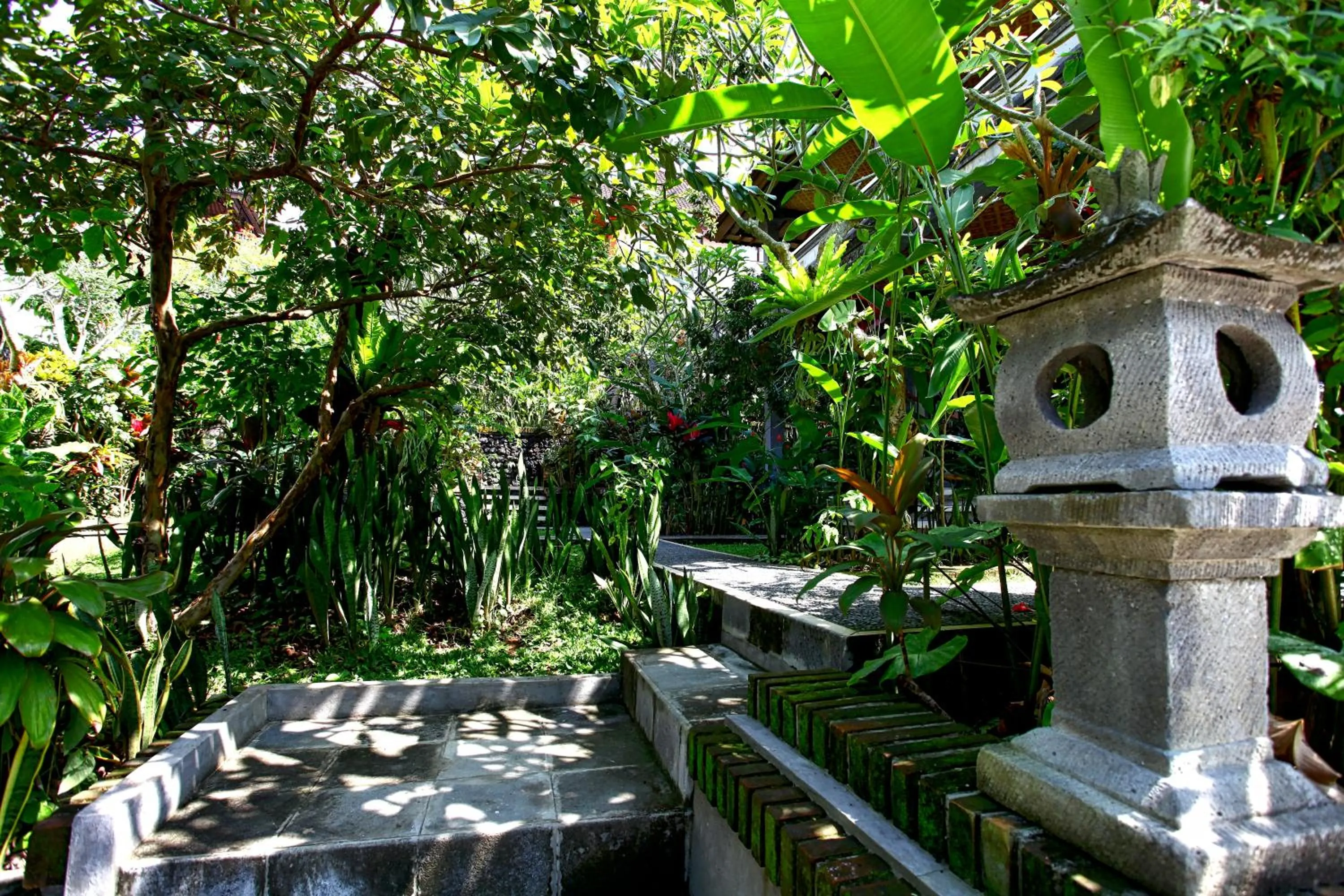Garden in Bismajaya Bungalow