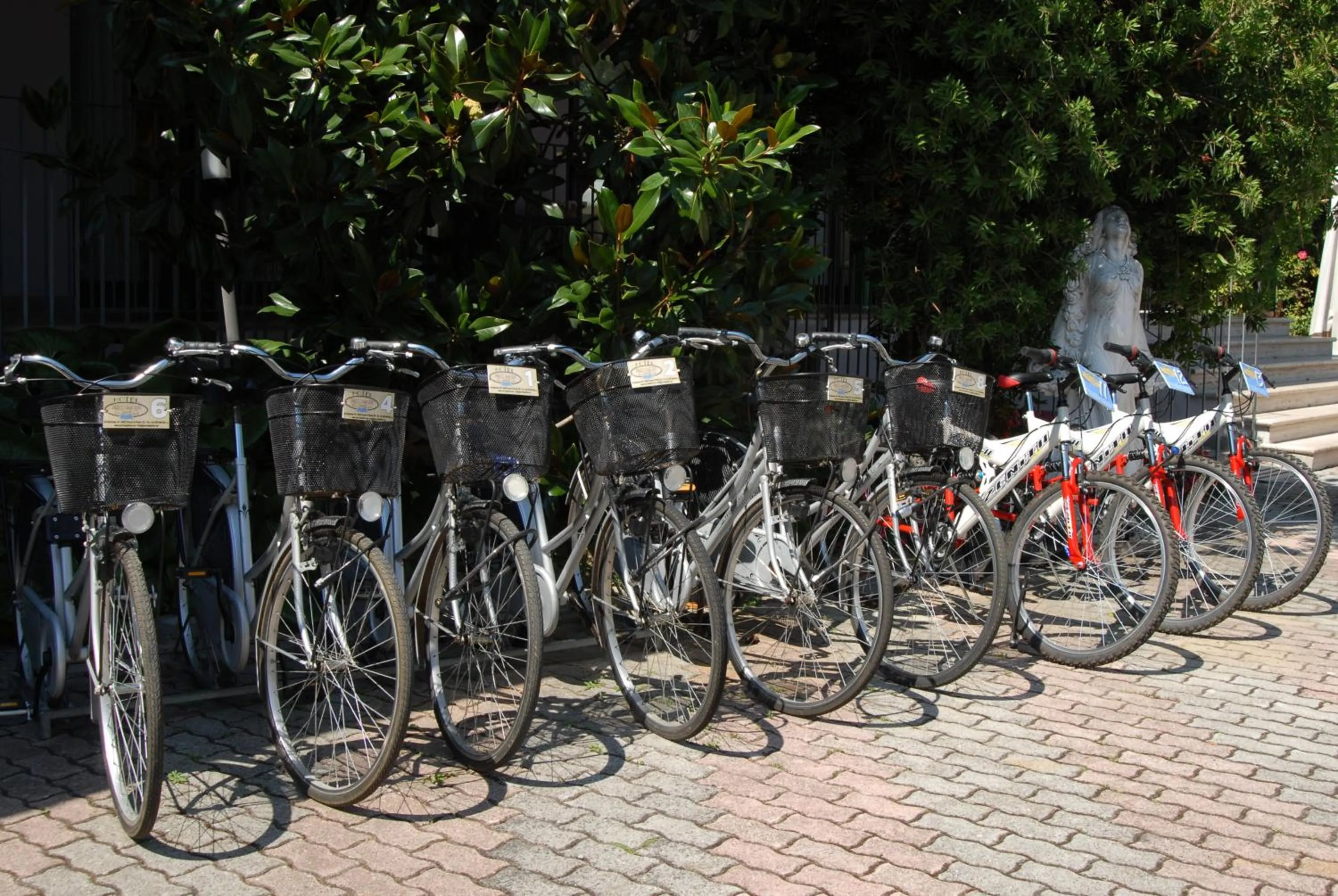 Cycling in Hotel Parco degli Ulivi