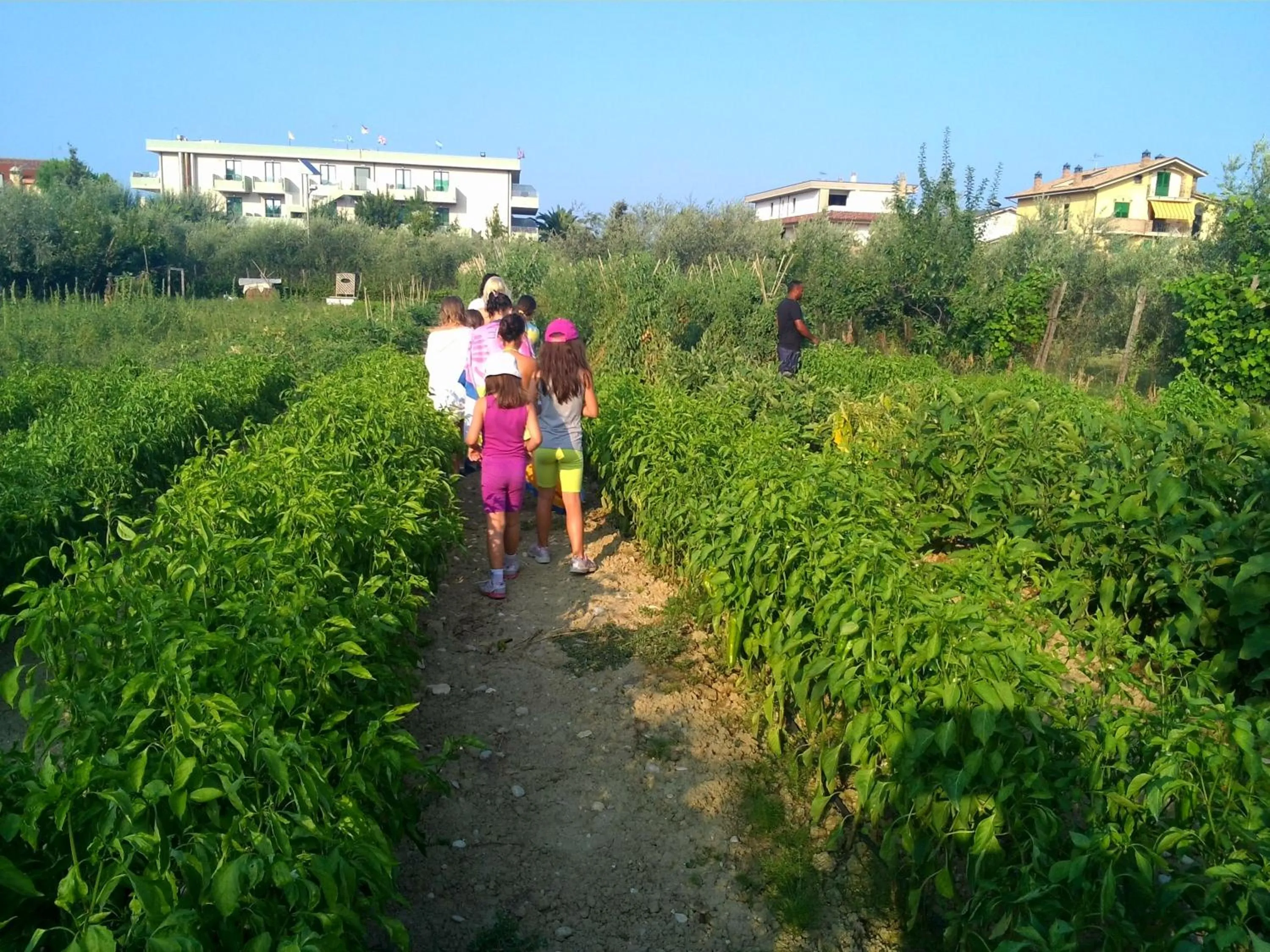 Natural landscape in Hotel Parco degli Ulivi