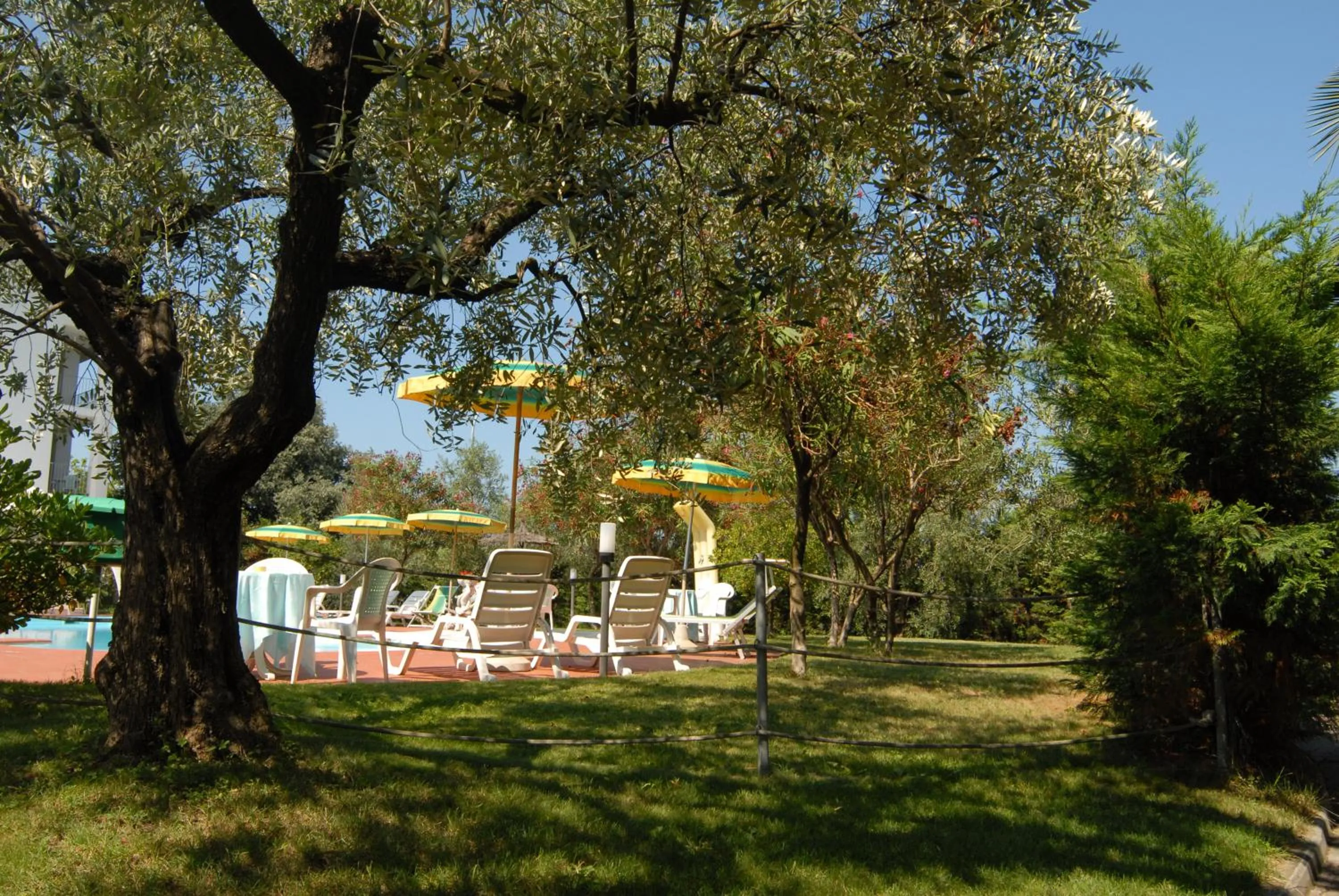 Other in Hotel Parco degli Ulivi