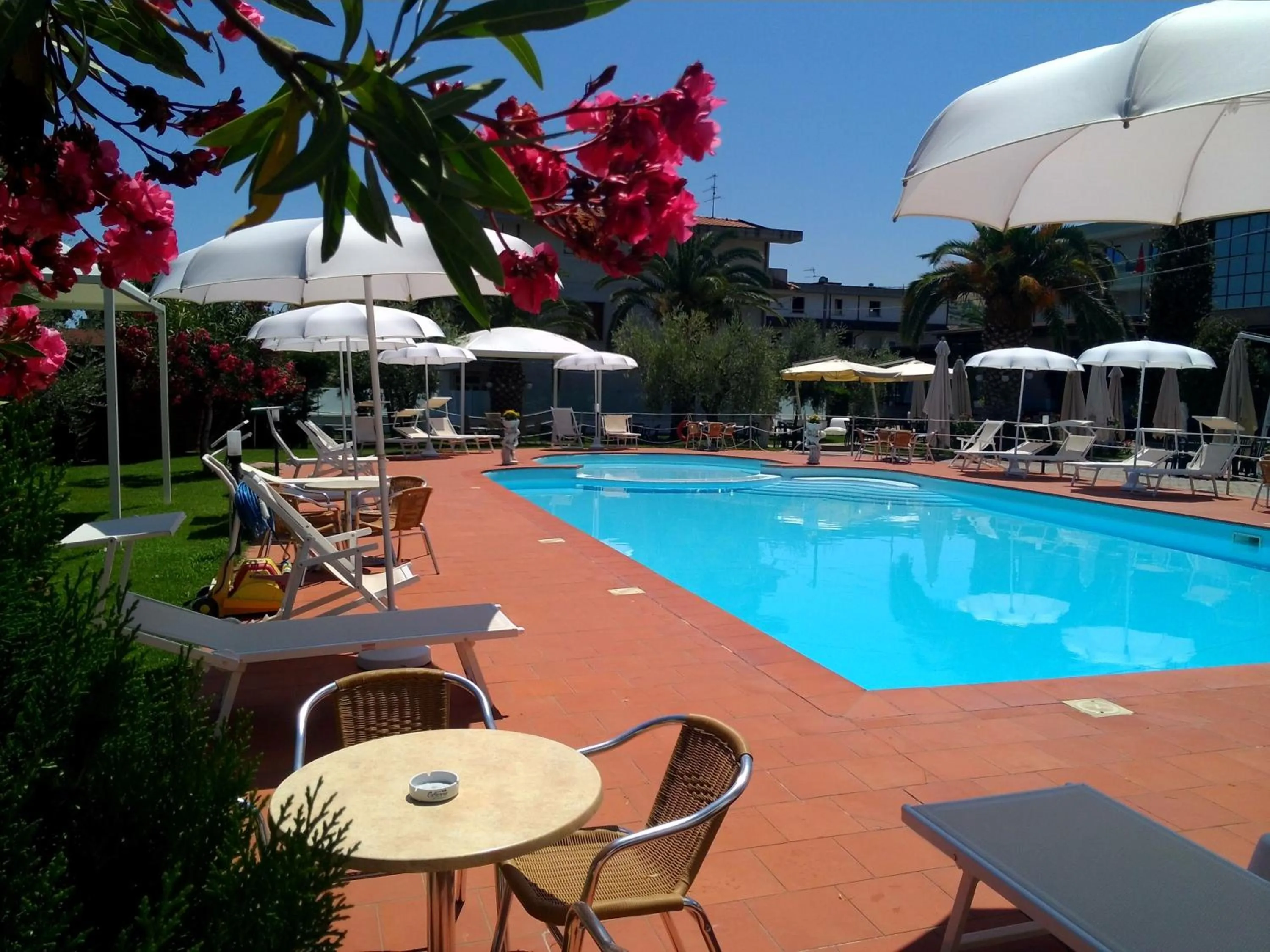Swimming pool in Hotel Parco degli Ulivi
