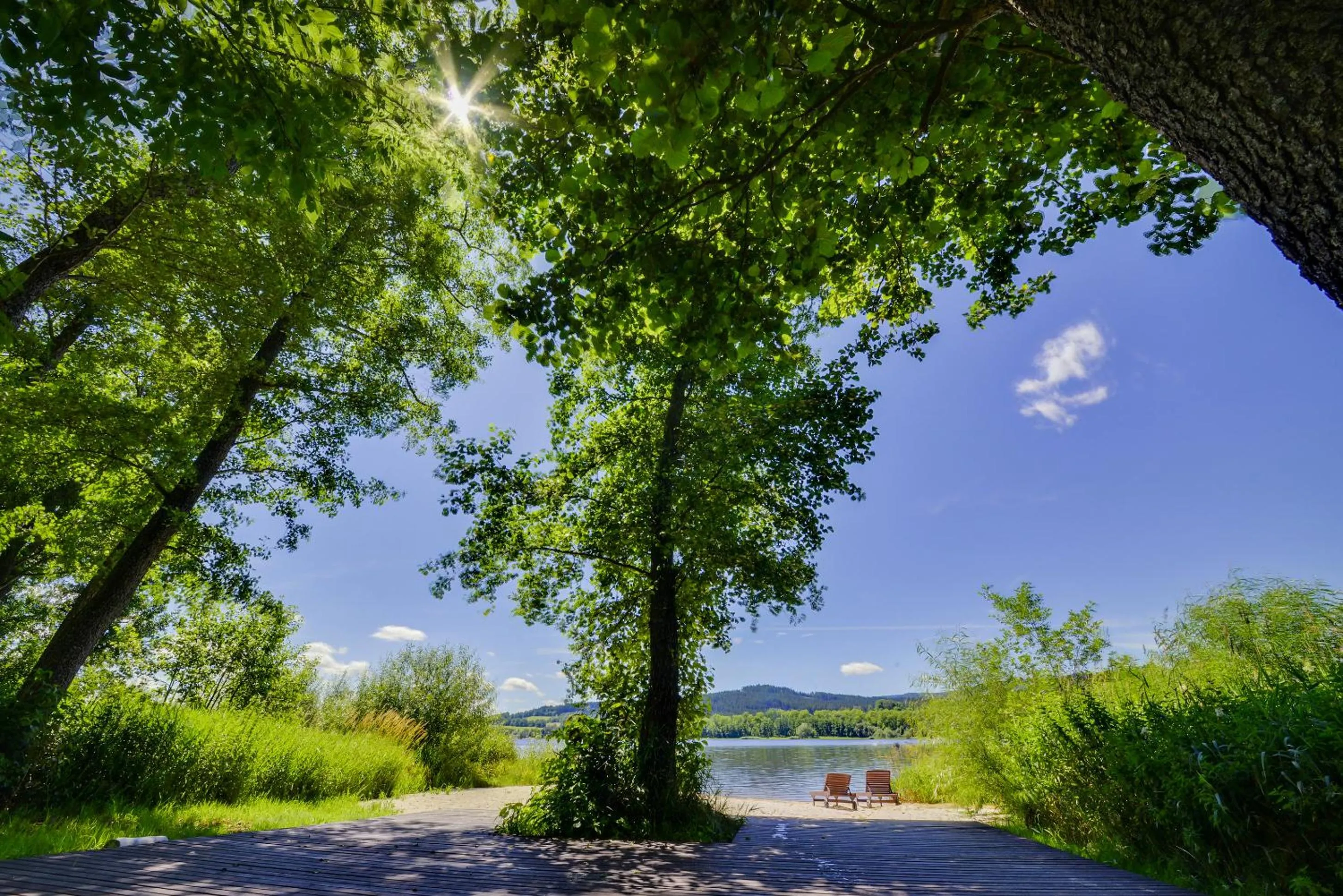 Natural landscape in Resort Orsino