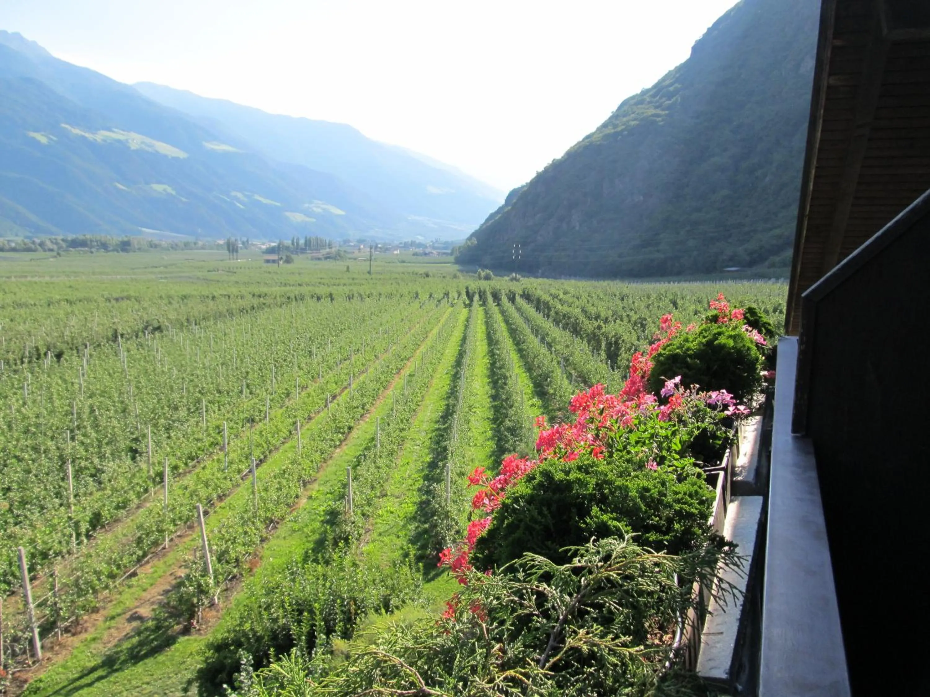 Natural landscape in Garni Weghueb