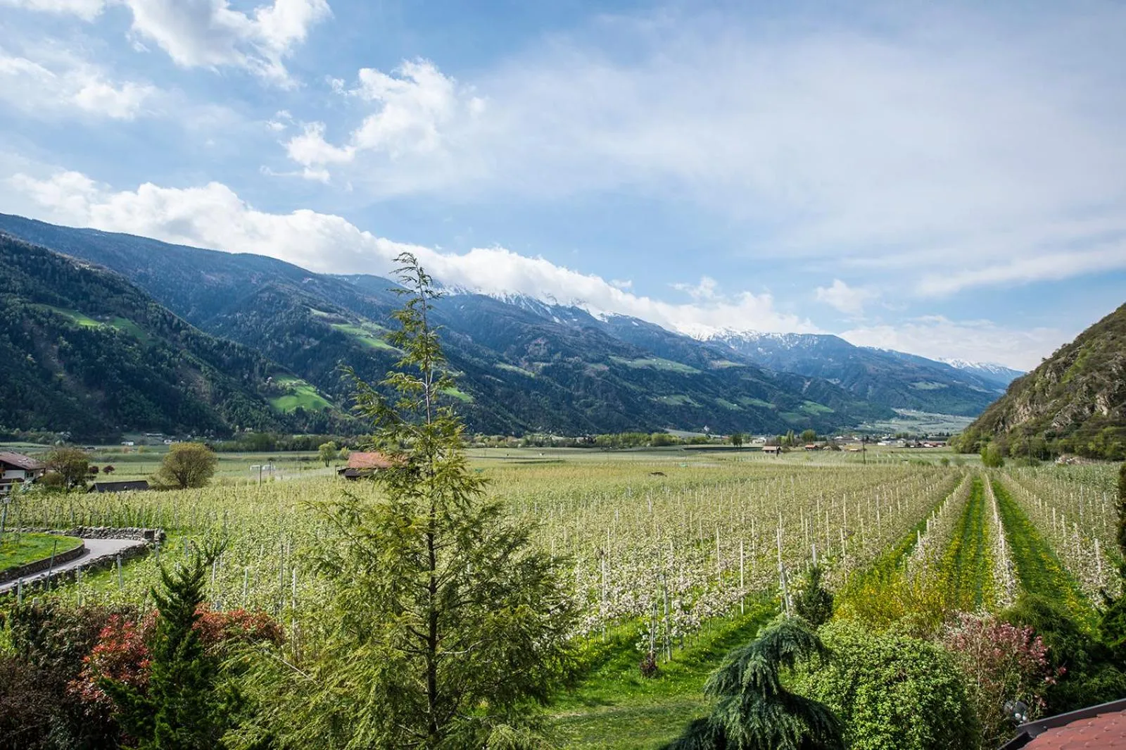 Natural landscape in Garni Weghueb