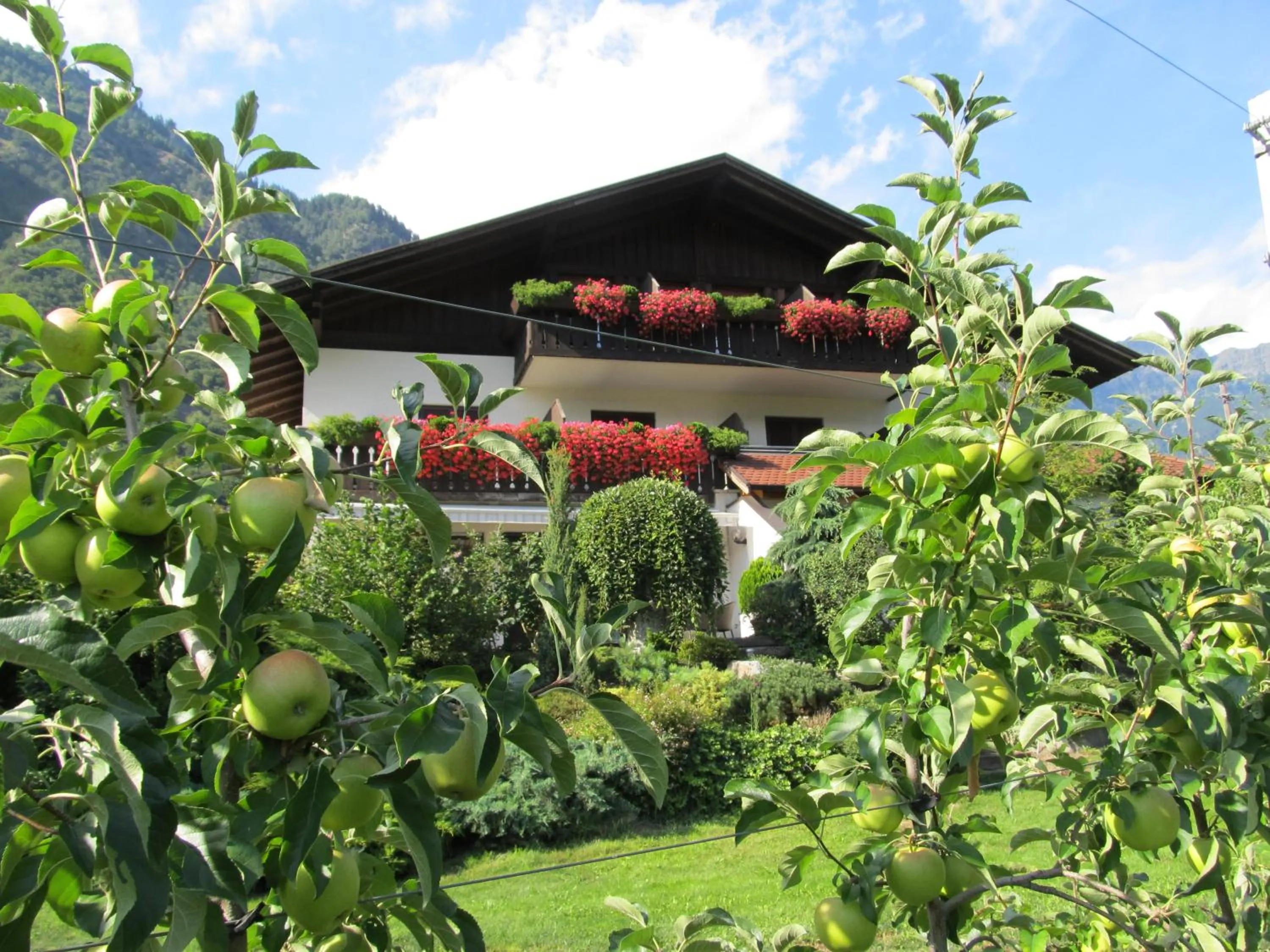 Property building in Garni Weghueb