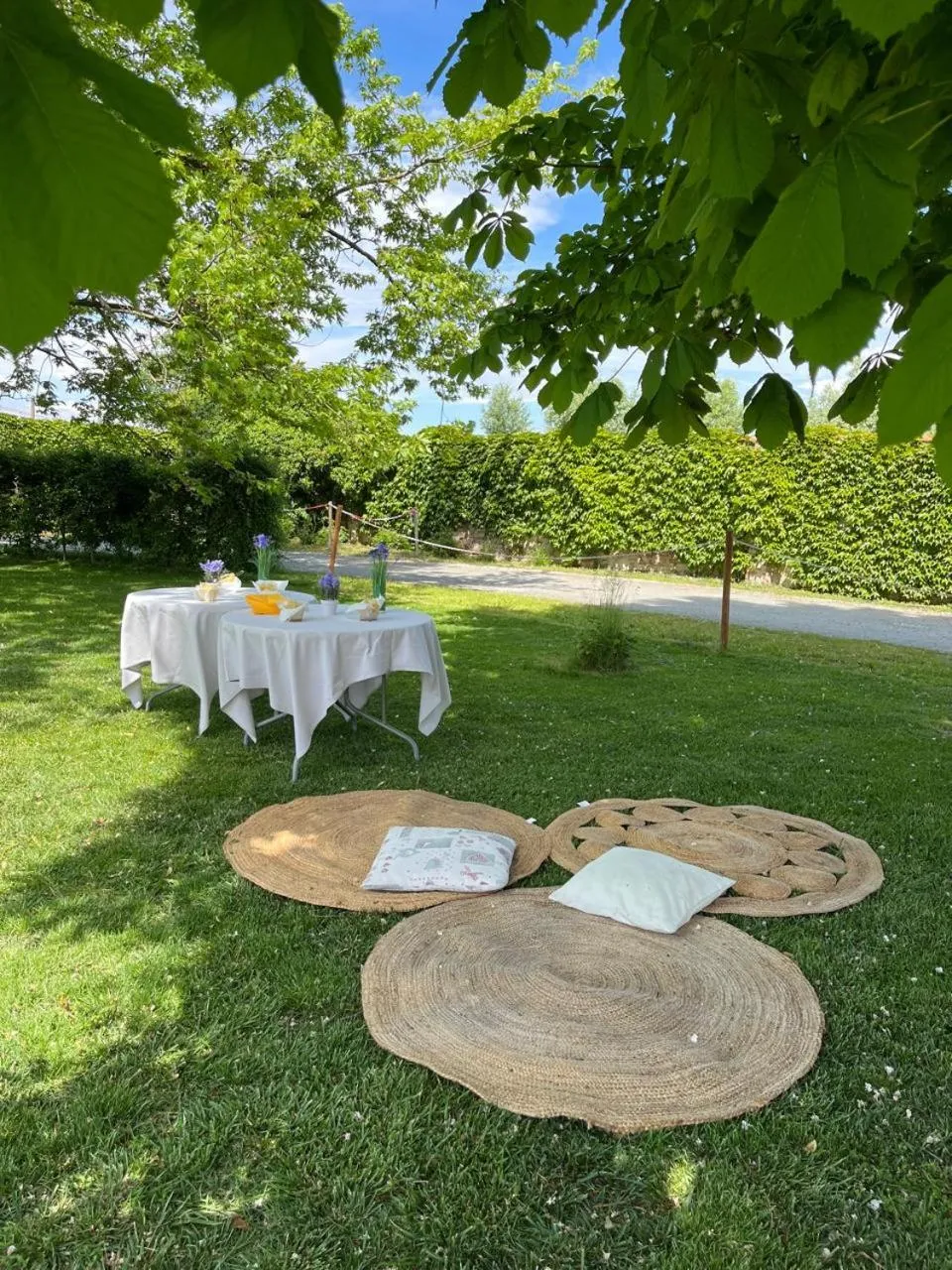 Garden in Albergo Cosmera