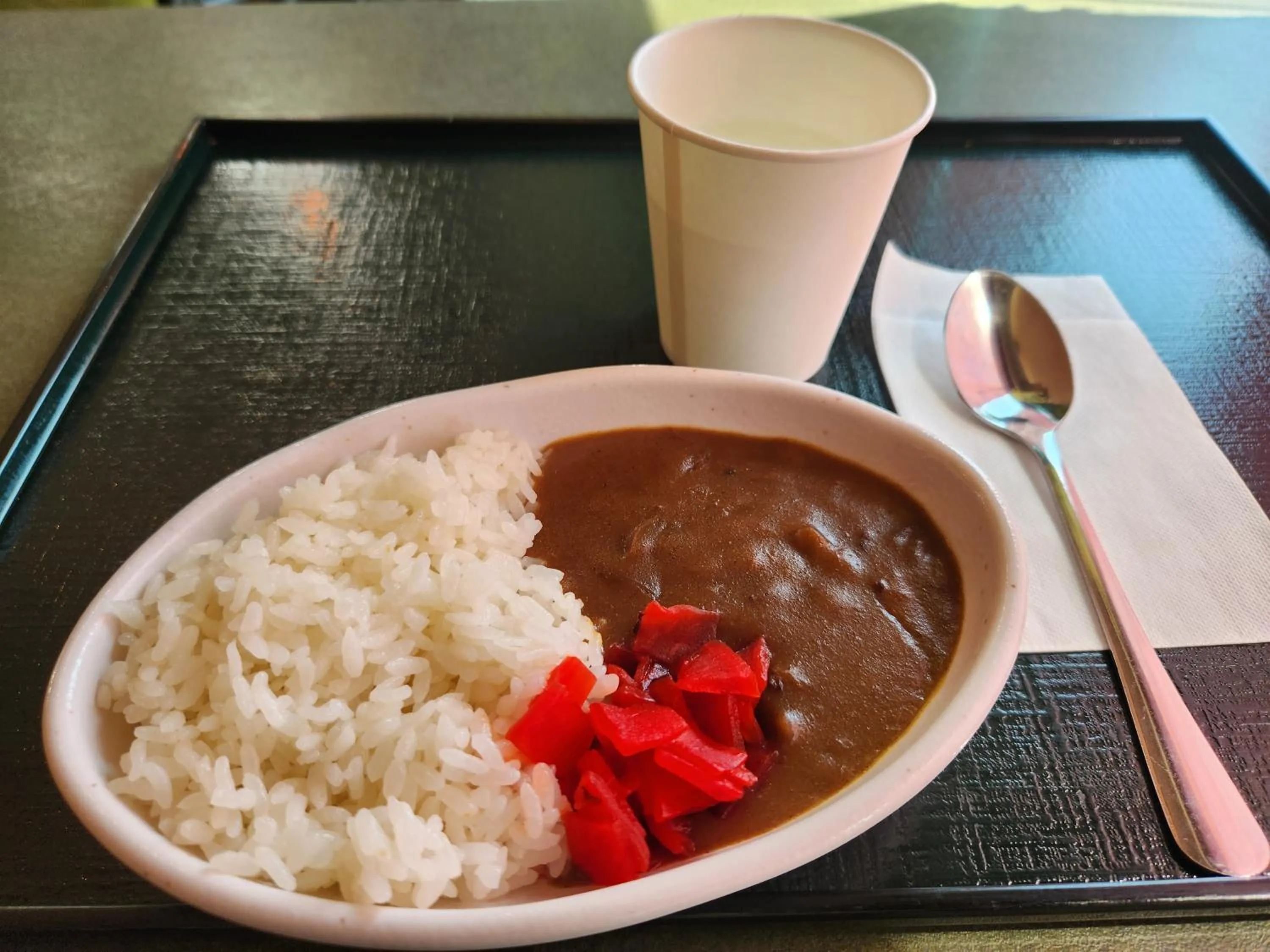 Dinner in Select Inn Yaizu Ekimae