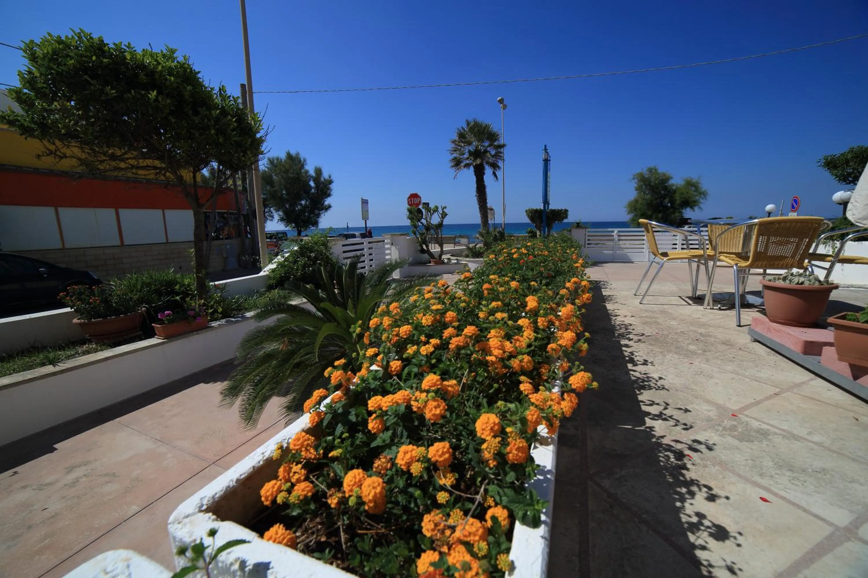 Garden in Hotel Albatros
