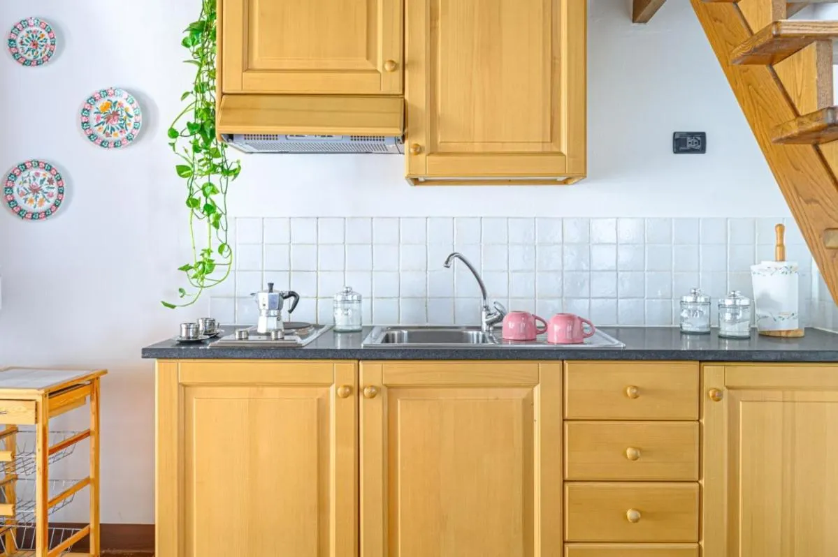 Kitchen or kitchenette in Agriturismo Pian di Fiume