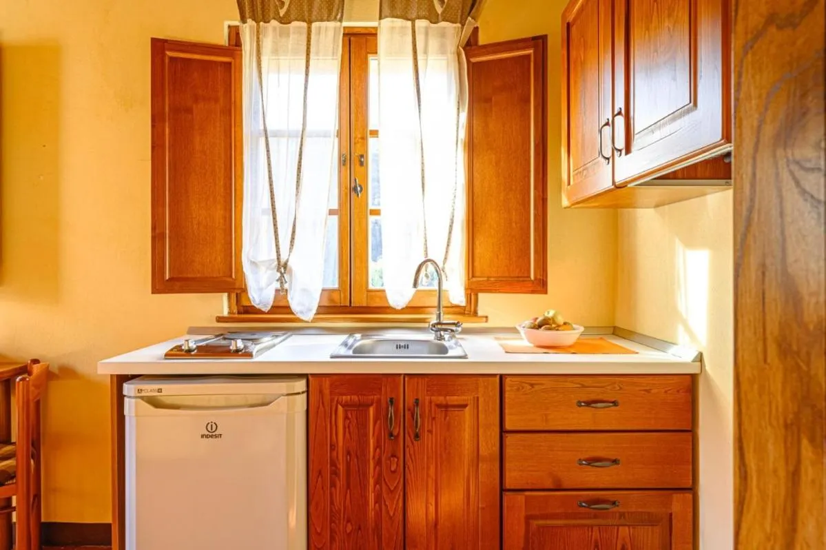 Kitchen or kitchenette in Agriturismo Pian di Fiume