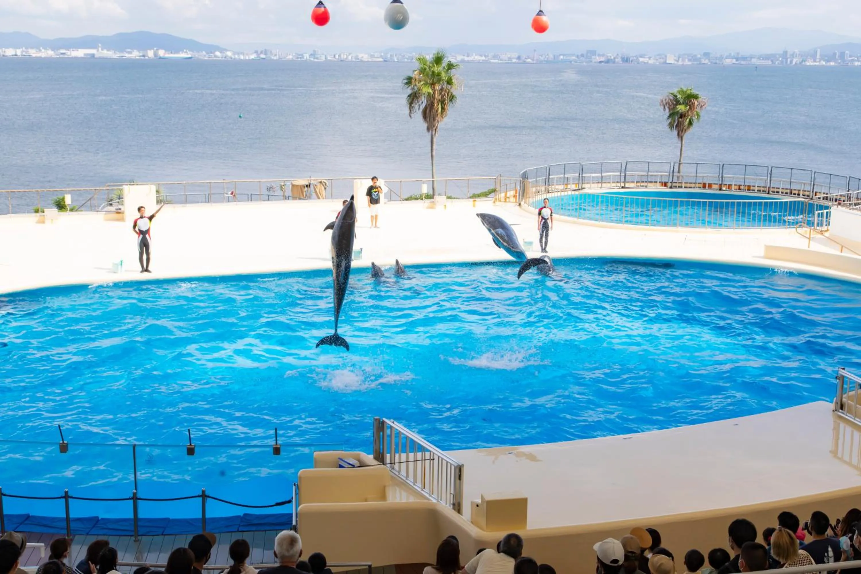 Kyukamura Shikanoshima