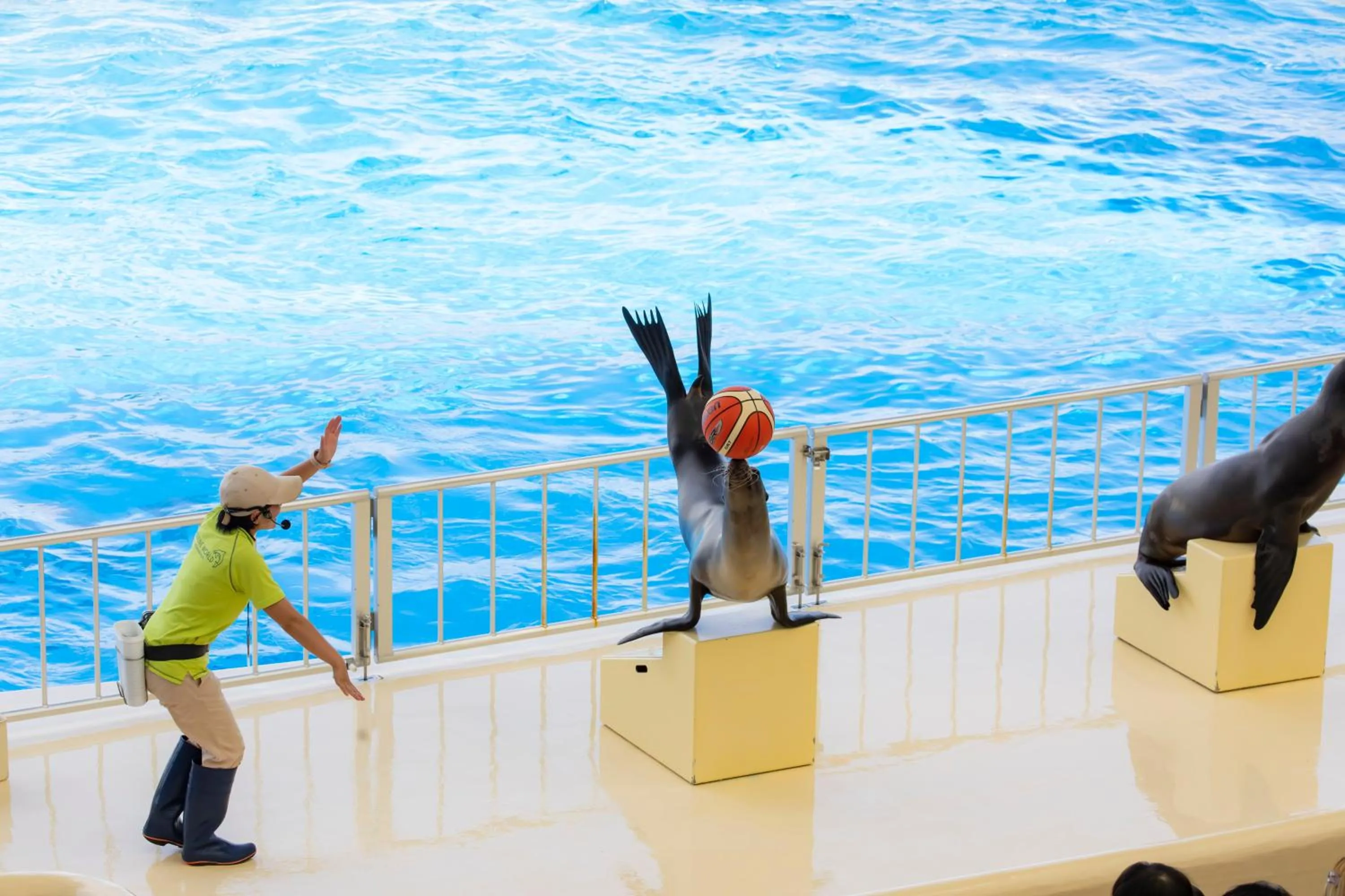 Kyukamura Shikanoshima