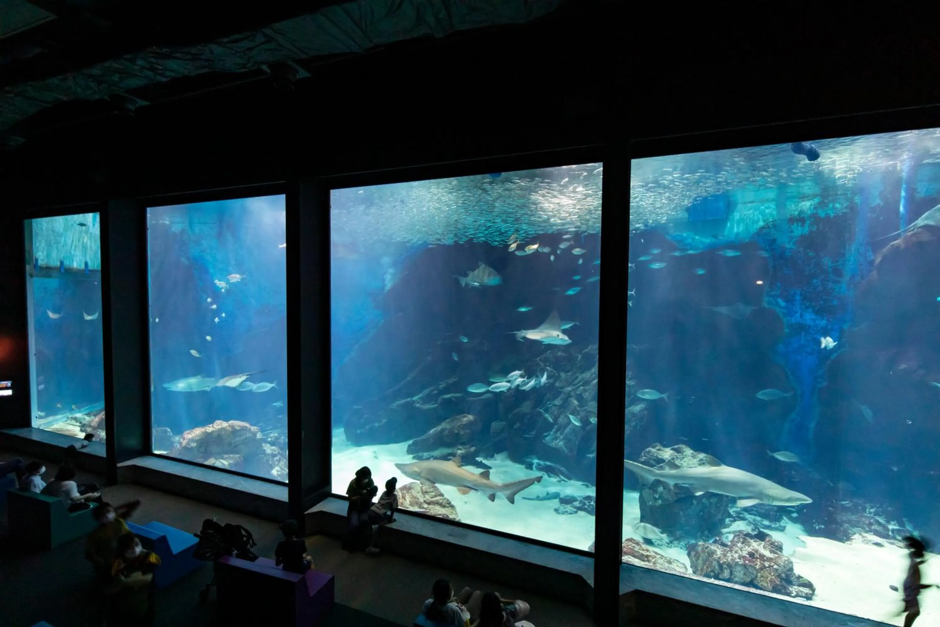 Kyukamura Shikanoshima