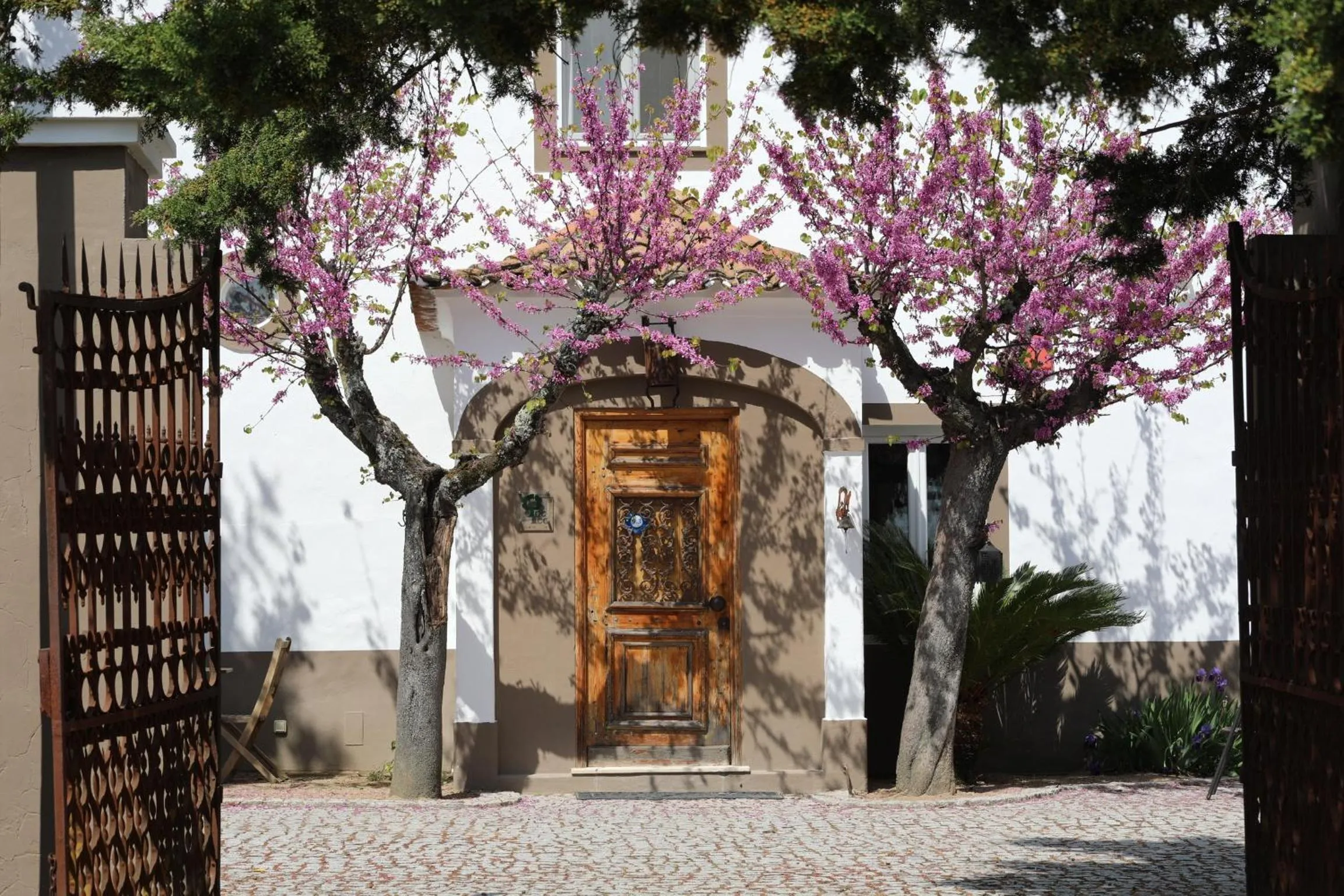 Facade/entrance in A Casa do Governador
