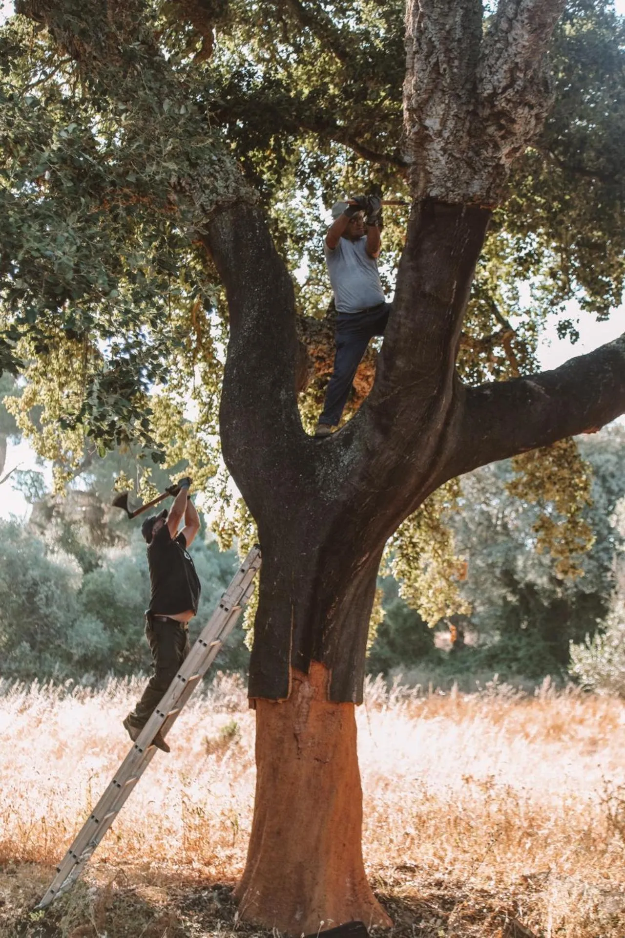 A Casa do Governador