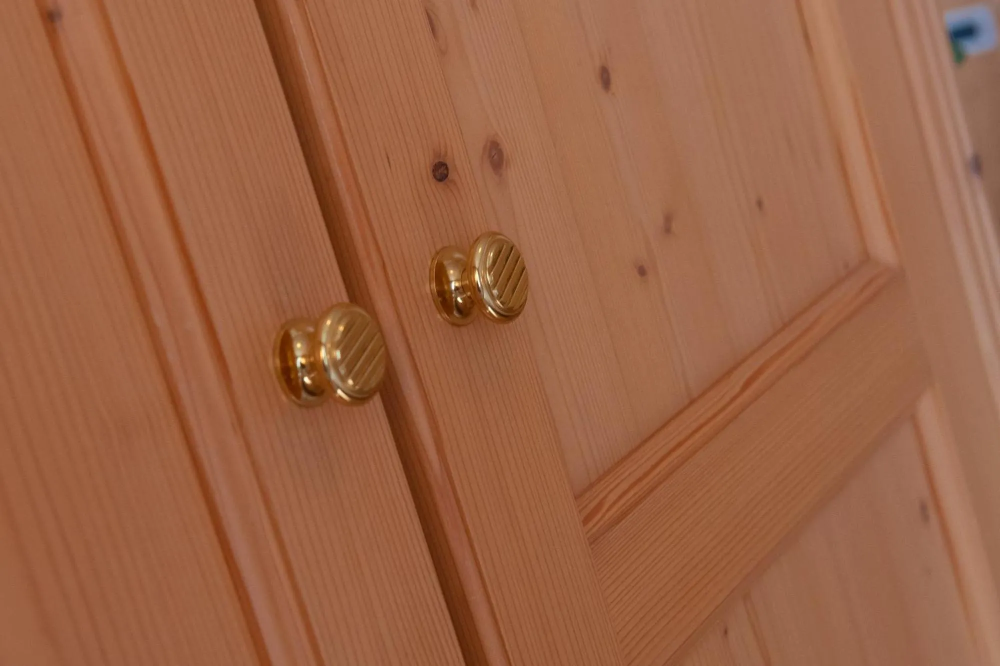 Other in Residence Barbara