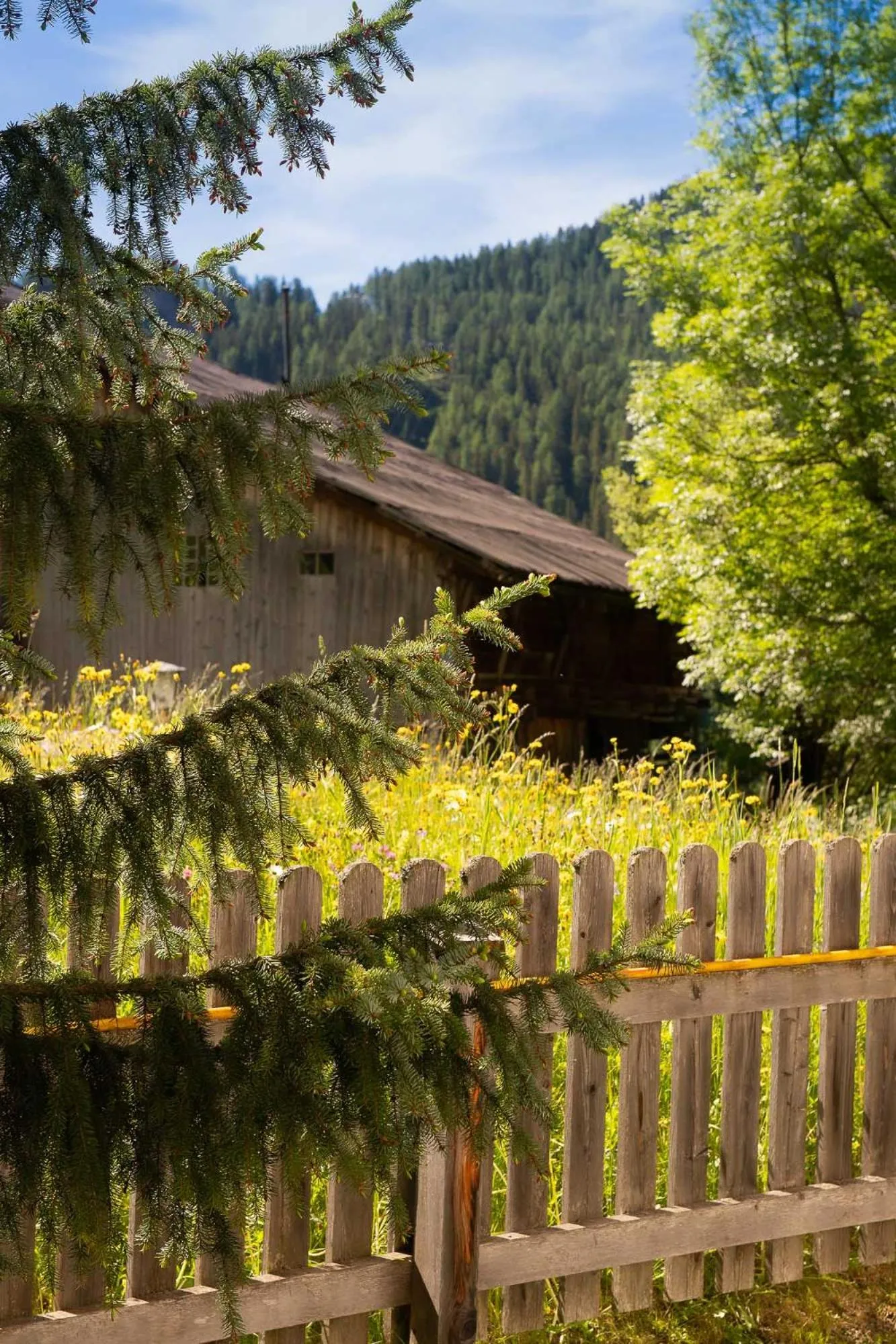 Property building in Residence Barbara